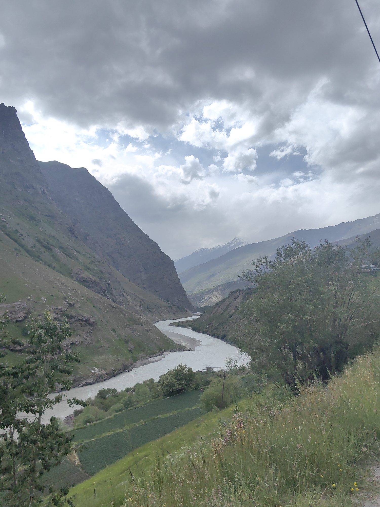 The image depicts a sweeping view of a river valley in Tandi, India. A wide, milky-white river snakes through the valley, bordered by steep, rocky mountains on the left and gentler, grassy slopes on the right. The mountains are mostly barren, with patches of sparse vegetation clinging to their sides. On the right bank of the river, terraced fields of green crops are visible, indicating agricultural activity. A cluster of trees grows on the right side of the frame, with tall, green grass in the foreground. The sky is overcast with heavy, grey clouds, with patches of blue sky visible through breaks in the clouds, and distant, snow-capped mountains can be seen in the background. The overall scene is one of rugged natural beauty and rural tranquility. There are no people or animals visible in the image.