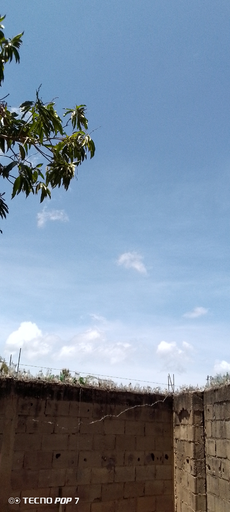 A low-angle shot reveals a block wall topped with shards of glass along its upper edge for security. A strand of barbed wire runs horizontally across the wall's face. In the upper left corner, a tree branch bearing green leaves partially obstructs the view. Above the wall, a bright blue sky is sparsely populated with light, puffy white clouds. The image was taken with a "Tecno Pop 7" mobile phone. Given the mention of "Altagracia, Venezuela," it is inferred that the photo was taken in this location.