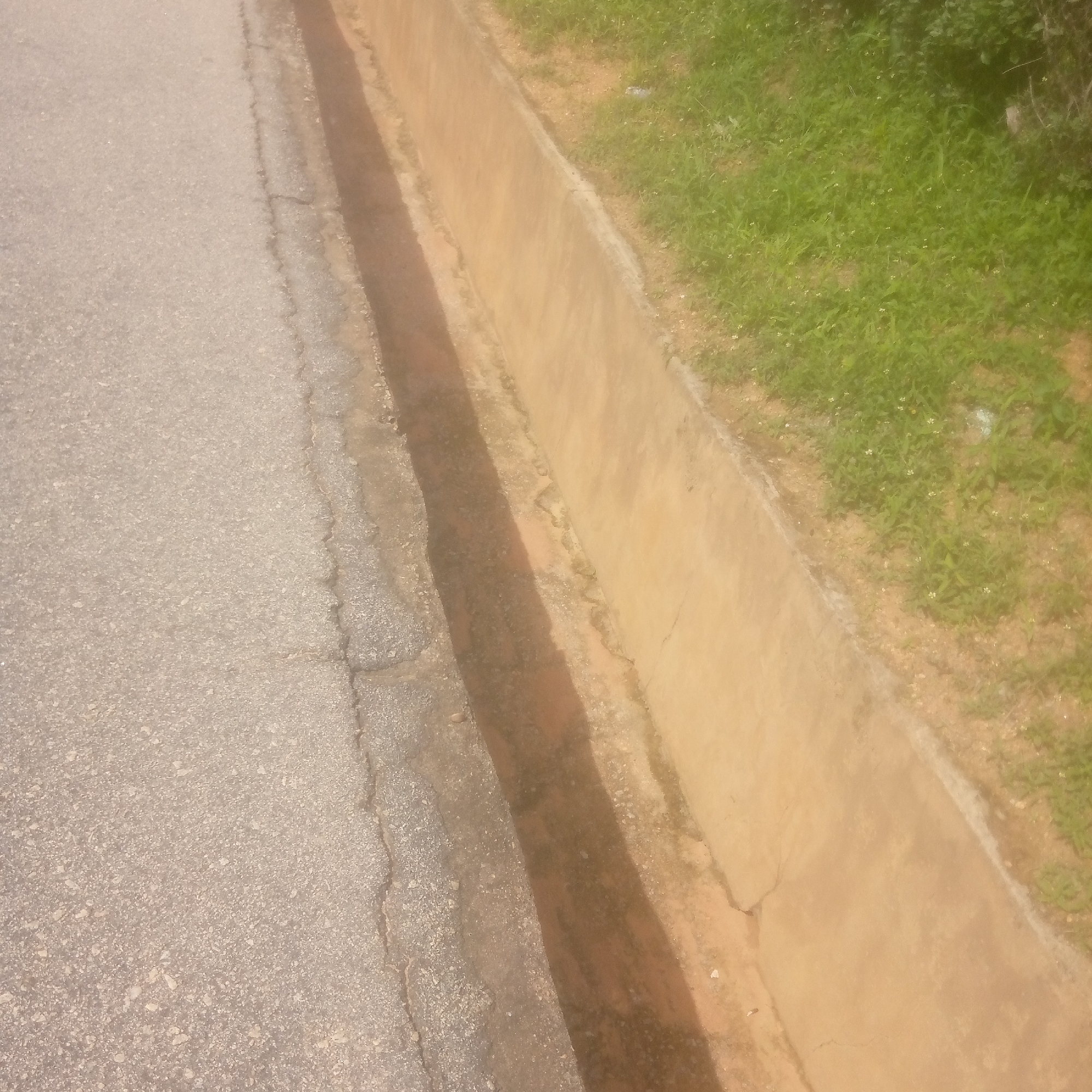 The image shows a roadside ditch next to a paved road and a grassy area. The ditch appears to be made of concrete and has some dirt and debris in it. The paved road is gray and appears to be in good condition, with a cracked edge where it meets the ditch. The grassy area is green and appears to be well-maintained, with some small white flowers scattered throughout. The scene is outdoors, and the lighting suggests it is daytime. The location is identified as the city of Jalingo, Nigeria. There are no people or animals visible in the image.