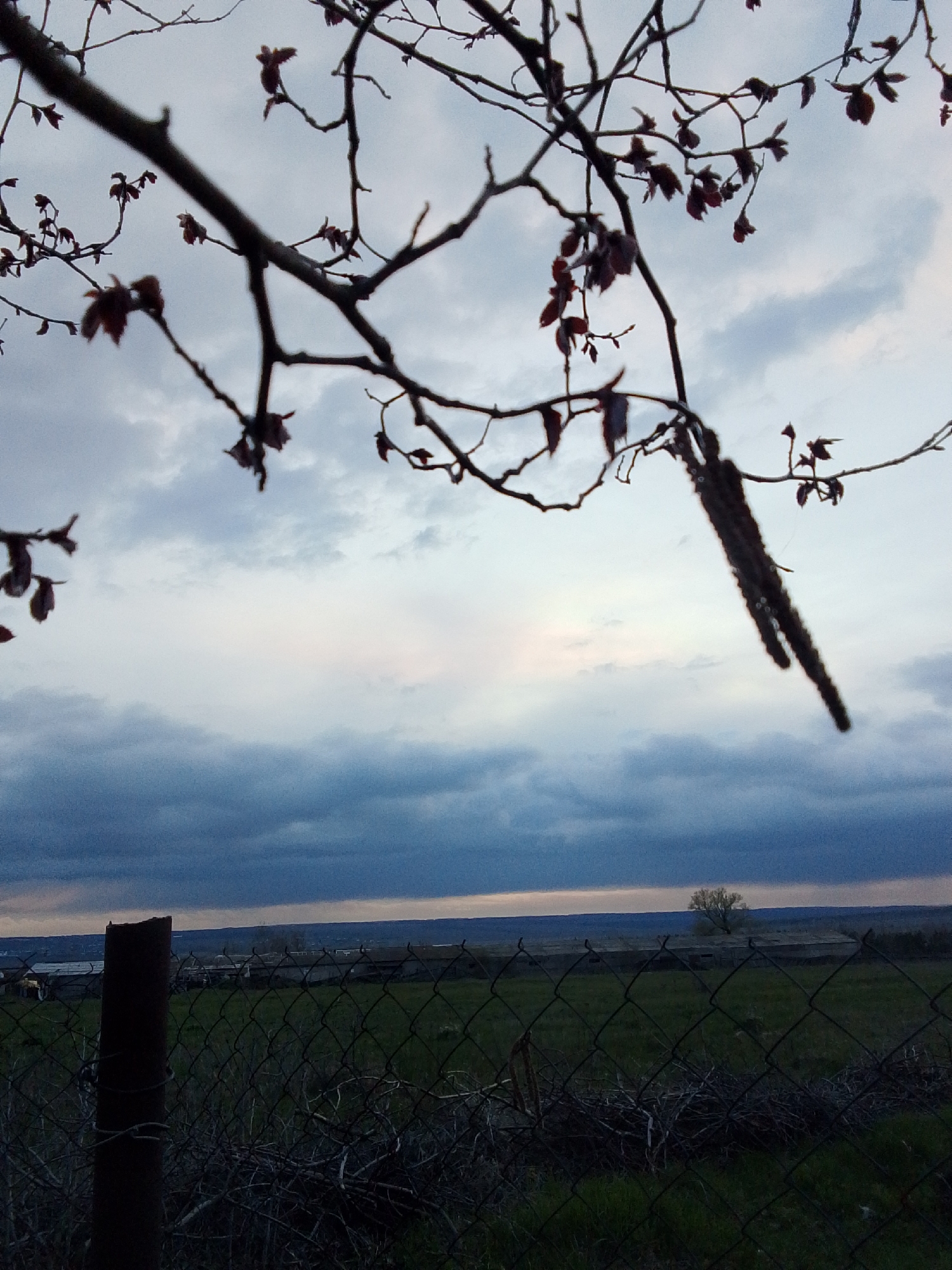 The image presents a view through a chain-link fence, with a dark metal pole in the left foreground. Behind the fence is a grassy field, with what appear to be low-lying structures or buildings in the middle distance, topped by the skyline. A solitary tree is visible on the horizon. Overcast sky with a band of lighter hue above the distant skyline. Tree branches are silhouetted against the sky in the upper portion of the image, complete with buds and flowers. The location is Khlevnoye, Russia.