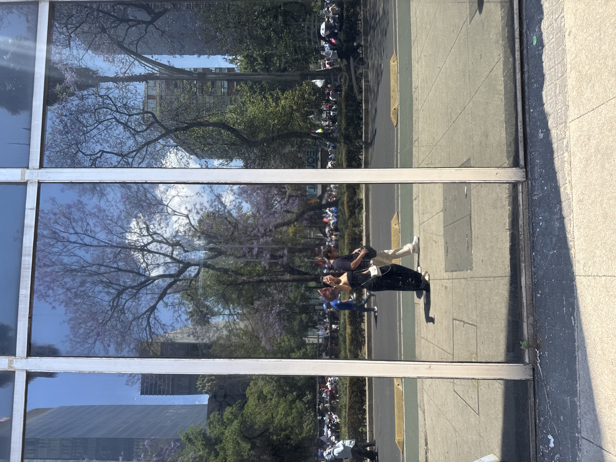 The image shows a reflection in a multi-paned glass window. The reflection captures a street scene in Mexico City, Mexico. Trees with purple blossoms are visible, along with buildings, suggesting an urban park or boulevard. A crowd of people is seen in the background. Several individuals are walking along the sidewalk. The sidewalk has a yellow marking. The glass window frame is visible, and a section of the building exterior is visible on the right side of the window.