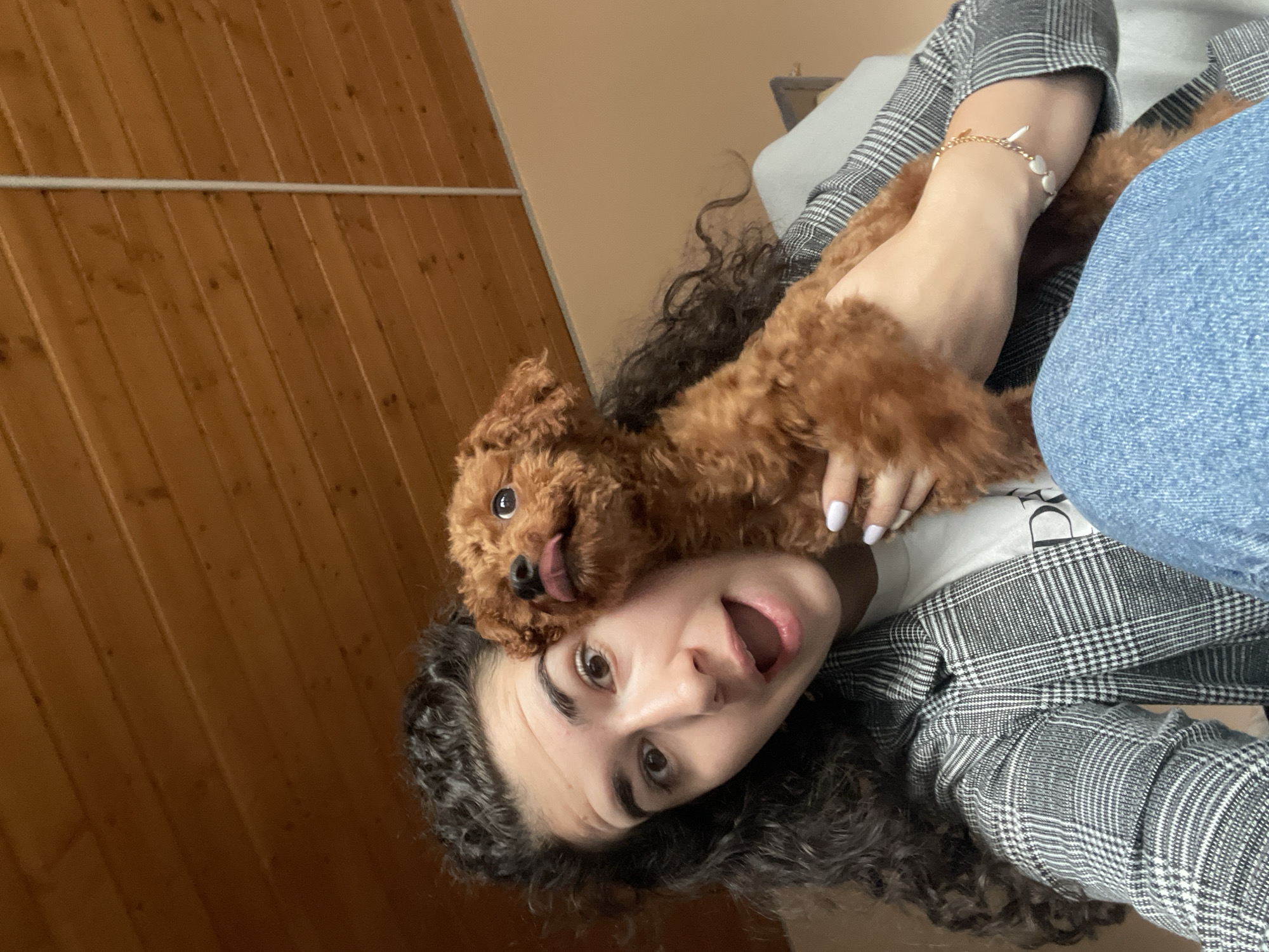 A young woman with curly hair is holding a small brown poodle up to her face, with the dog licking her forehead. The woman's mouth is open in a playful expression. She is wearing a white t-shirt, a grey and black checkered blazer, and blue jeans. She is also wearing a gold and white bracelet on her left wrist. The background consists of a wooden paneled wall on the left and a light tan wall on the right. A white molding runs along the top of the wood paneling. There is also what appears to be a sofa cushion behind the woman's arm. The photograph was taken indoors and appears to have been taken in portrait mode. The location cannot be determined from the information in the picture.