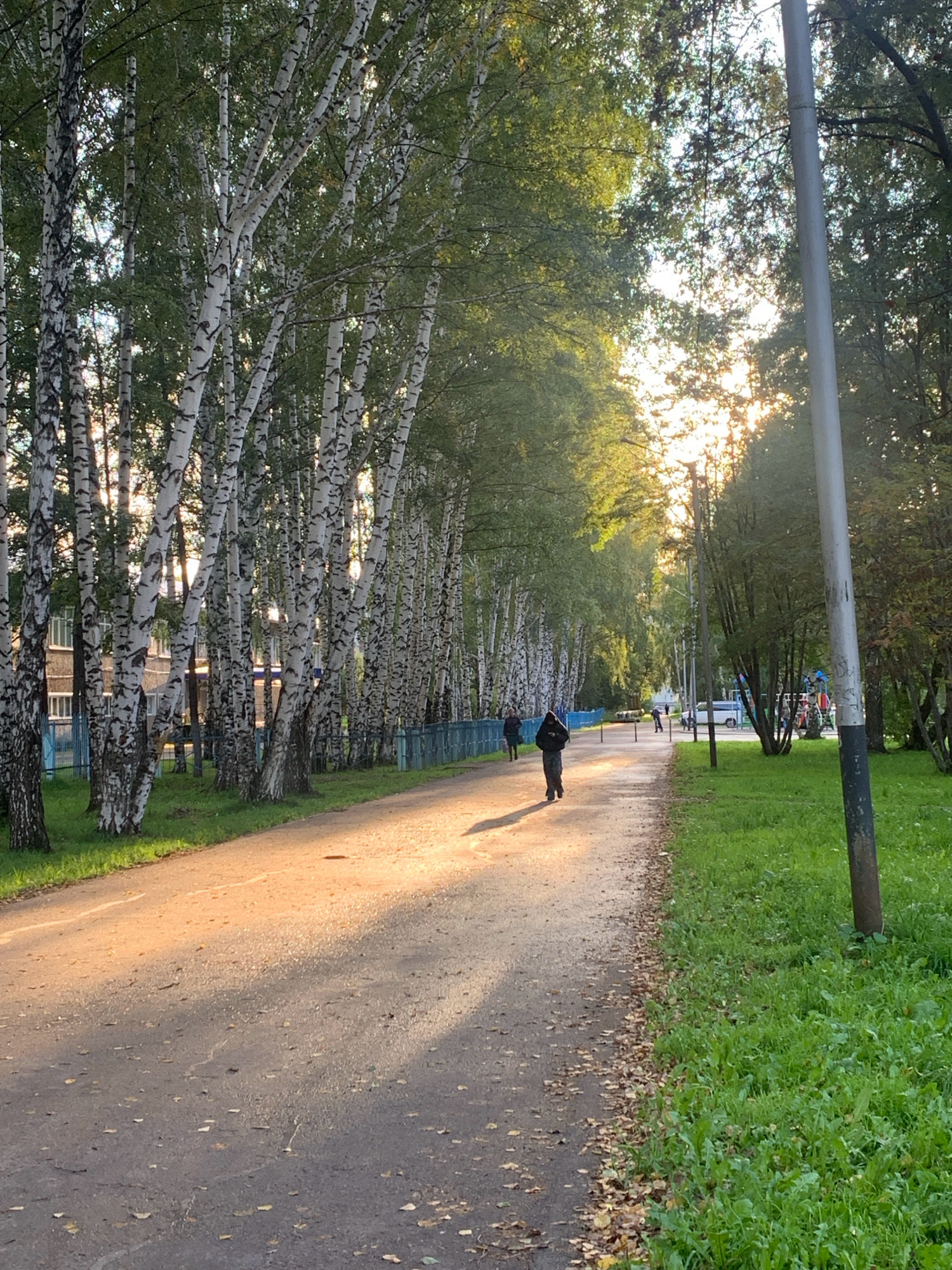 The image depicts a paved pathway lined with birch trees on the left and a grassy area with trees on the right. Sunlight streams through the trees, casting long shadows across the path. Two individuals are walking on the pathway. In the background, a building and a playground can be seen. The overall scene suggests an outdoor public space, possibly a park or a residential area.