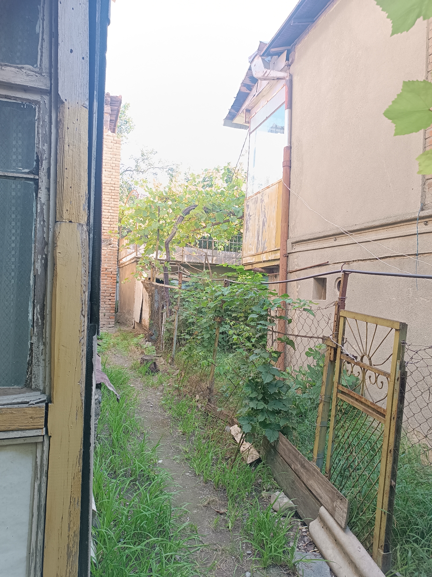 The image depicts a narrow, overgrown pathway in Khashuri, Georgia, between two buildings. On the left, a weathered wooden window frame with peeling yellow paint is visible, partially obscuring the view. To the right of the pathway, a chain-link fence borders a property. A rusty, ornate yellow metal gate is a prominent feature of the fence. Lush green vegetation, including a vine-covered tree and bushes, thrives along the pathway and behind the fence. The background shows parts of buildings and trees under a bright, overcast sky.