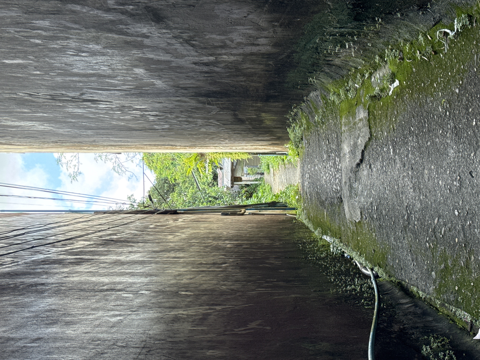 The image depicts a narrow, paved alleyway in Ranong, Thailand. The alley is flanked by two tall, textured concrete walls. The wall on the left is darker and appears to have streaks of grime or water stains, with moss growing at its base. Electrical wires are visible running along the top of this wall. The wall on the right is similarly textured and stained, with moss also present at its base. The alleyway itself is uneven and appears to be made of asphalt or concrete, with patches of moss and some debris, including small pieces of white plastic, scattered along the edges and on the ground.
The alley recedes into the distance, leading towards a small, rustic structure, possibly a shed or a small house, partially visible amidst lush green foliage. The roof of this structure appears to be made of corrugated metal. Trees and vegetation surround the structure, and beyond them, a bright blue sky with scattered white clouds is visible. A green hose runs along the base of the left wall, connecting to something out of frame. The overall impression is one of a utilitarian, perhaps slightly neglected, but lived-in space within a tropical environment. The lighting suggests it is daytime, possibly late morning or early afternoon, given the brightness of the sky and the shadows cast.