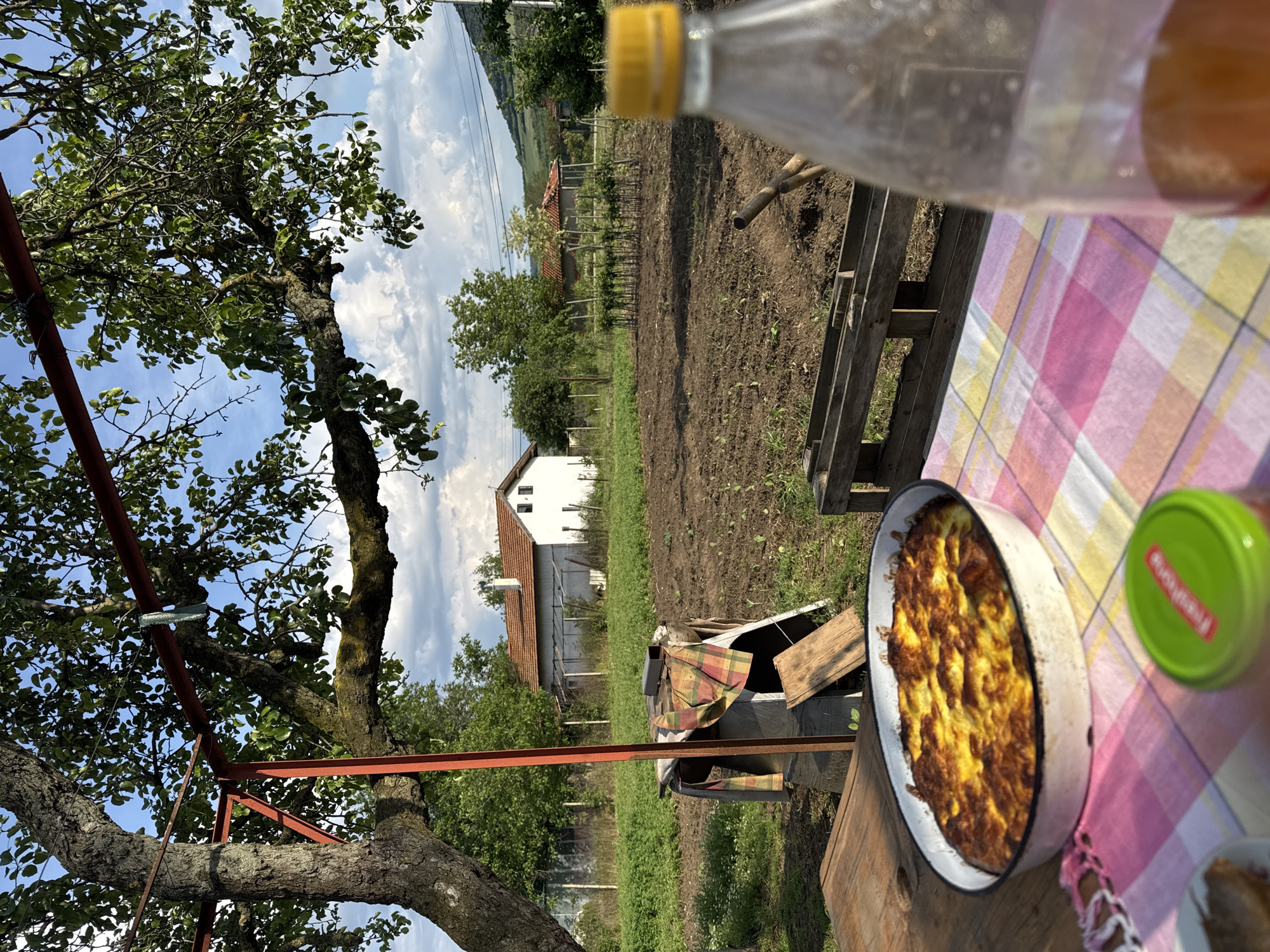 The image depicts an outdoor setting in Tutrakantsi, Bulgaria. A table covered with a pink and yellow checkered tablecloth is set with a baked dish in a white enamel pan and a bottle with a yellow cap. A glass jar with a green lid is also visible on the table. A tree with a metal support structure stands to the left of the table. In the background, a plowed field leads to a white house with an orange roof. Beyond the house, greenery extends into the distance, culminating in a slight elevation of terrain. The sky is blue with scattered clouds.