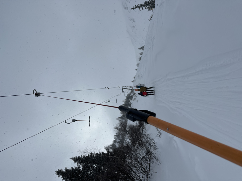 The image presents a snow-covered mountain slope in Bad Gastein, Austria, viewed from the perspective of an individual using a T-bar ski lift during light snowfall under an overcast grey sky. An orange ski lift pole with a black handgrip extends diagonally from the lower left towards the upper right foreground. Overhead, multiple T-bar mechanisms hang from a thick overhead cable, supported by several visible pylons ascending the slope. Directly in front, two individuals are being pulled uphill by a shared T-bar lift. The person on the left wears a dark jacket and red ski pants, while the person on the right wears a light brown jacket and dark pants; both are equipped with skis. Cleared ski tracks are evident in the snow leading up the incline. Coniferous trees and bare deciduous bushes line the left side of the slope, with additional scattered conifers visible on the right. Distant snow-covered mountainous terrain is faintly discernible against the muted sky.