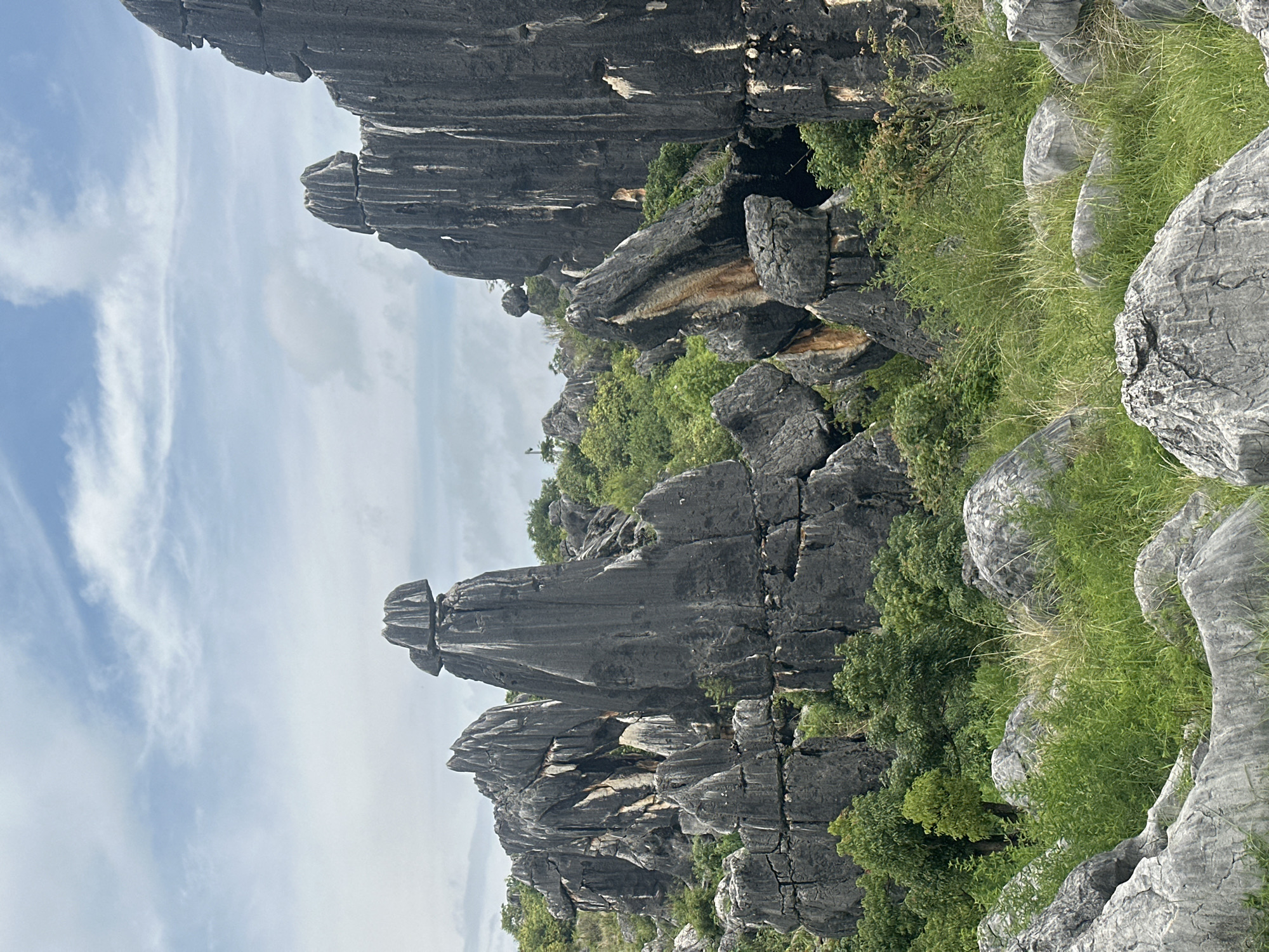 The image depicts a karst landscape in the Stone Forest, located in the Shilin Yi Autonomous County of Kunming, China. Towering, weathered limestone formations dominate the scene, casting sharp shadows against a backdrop of lush green vegetation and a cloudy sky. The rocks are varied in shape and size, with some resembling jagged spires and others forming layered masses. A dense carpet of grass and small trees grows around the base of the rock formations, creating a natural contrast between the grey stone and vibrant green. The lighting suggests it is daytime, likely overcast. There are no people or animals visible in the frame. The environment is a natural, rocky terrain with significant geological formations.