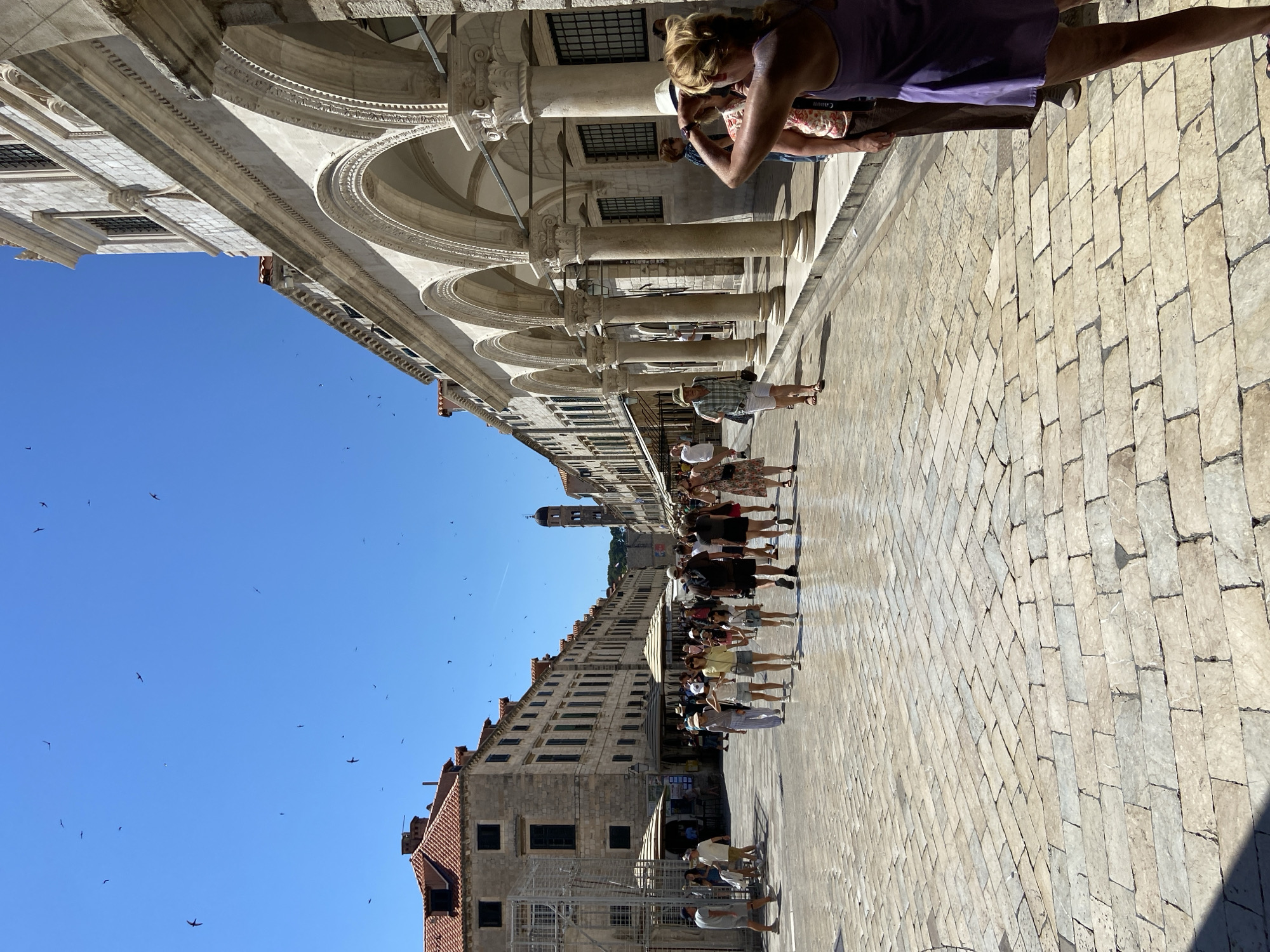 The image shows a sun-drenched, cobblestone street in Dubrovnik, Croatia, likely the Stradun (Placa) in the Old Town. A multitude of birds are visible flying in the bright blue sky. The street is lined with historic stone buildings with red-tiled roofs and arched colonnades. Several groups of tourists are walking along the street, some looking at their surroundings, while others are engaged in conversation. The architecture suggests a warm, Mediterranean climate. The scene is bustling with activity, indicating a popular tourist destination.