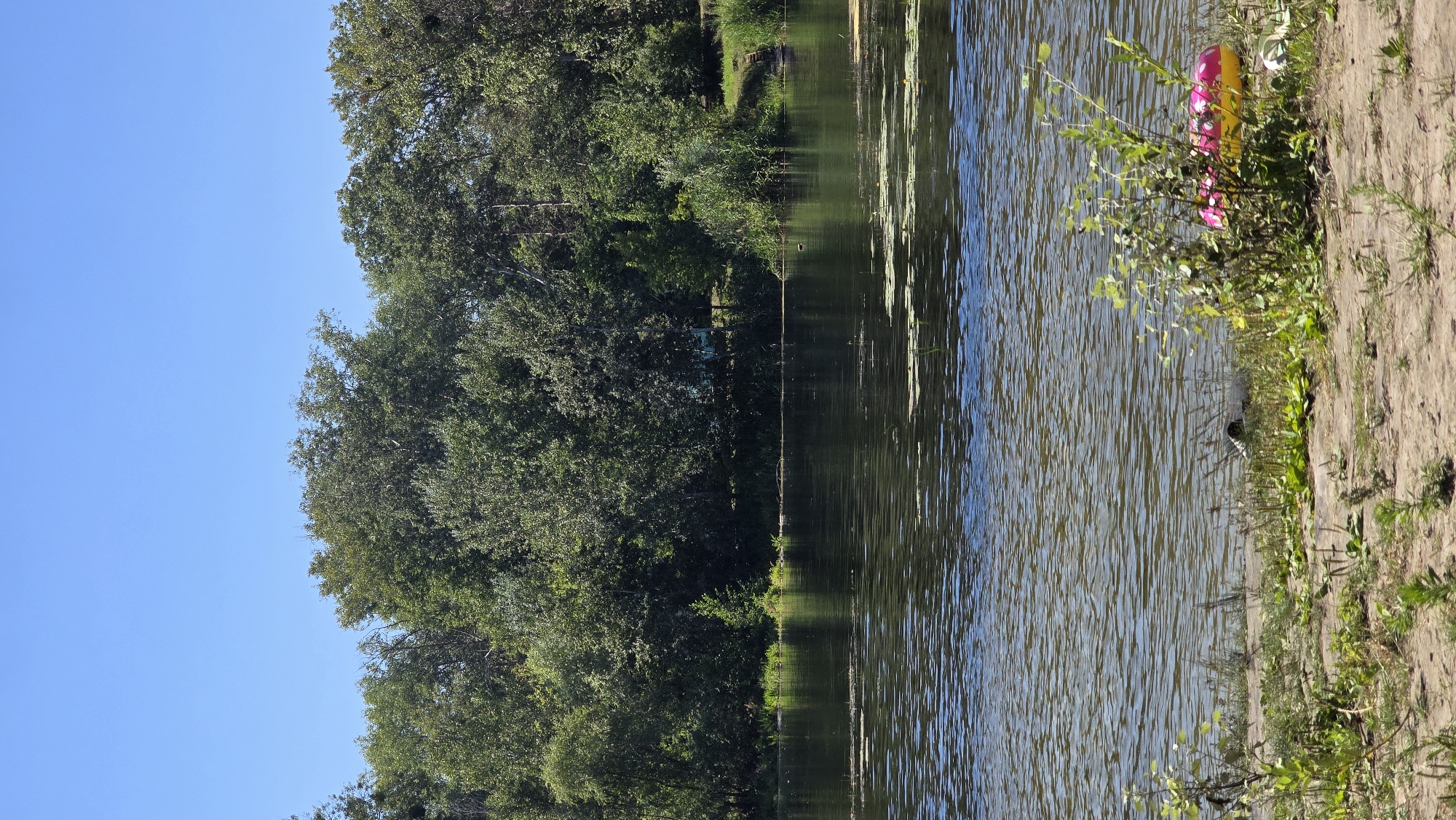 The image depicts a sunny day scene by a body of water, likely a river or lake, with a dense line of trees forming the backdrop. The water is calm with some ripples and patches of green aquatic vegetation. The shoreline in the foreground is sandy with sparse green vegetation. To the right, near the water's edge, a pink and yellow inflatable pool float is visible, partially obscured by greenery. The sky above is clear and blue. Based on the provided information, this scene is located in the city of Krasnohorivka, Ukraine.