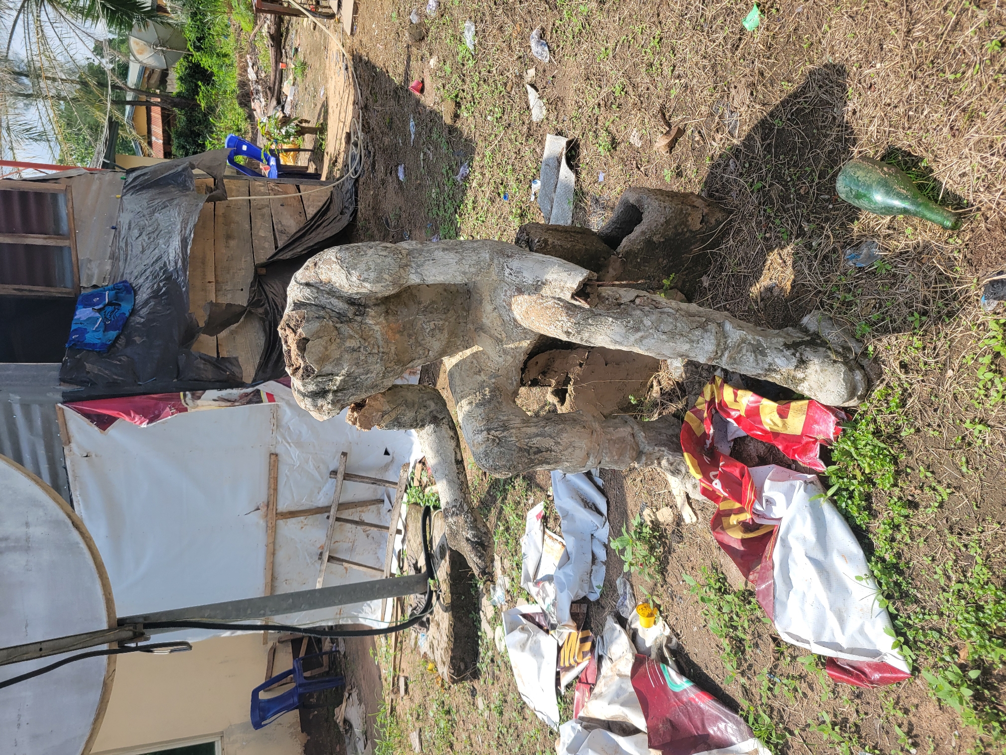 In Egbagu, Nigeria, a headless concrete sculpture of a seated figure rests on a block of concrete amidst a cluttered outdoor environment. The sculpture is weathered and appears to be made of rough concrete, with visible cracks and textures. Its left arm is bent, resting on its leg, while its right arm hangs downwards.
Surrounding the sculpture is a mix of debris, including crumpled white and red plastic sheeting, a yellow plastic cup, and a green glass bottle on the ground. A metal satellite dish and pole are visible in the background, attached to a partially constructed or dilapidated structure with a corrugated metal roof and wooden walls covered in black plastic sheeting. A blue plastic chair is situated near the structure. The ground is covered in dry grass, dirt, and scattered litter, suggesting an unkempt or transitional area. The overall scene conveys a sense of disrepair and abandonment.