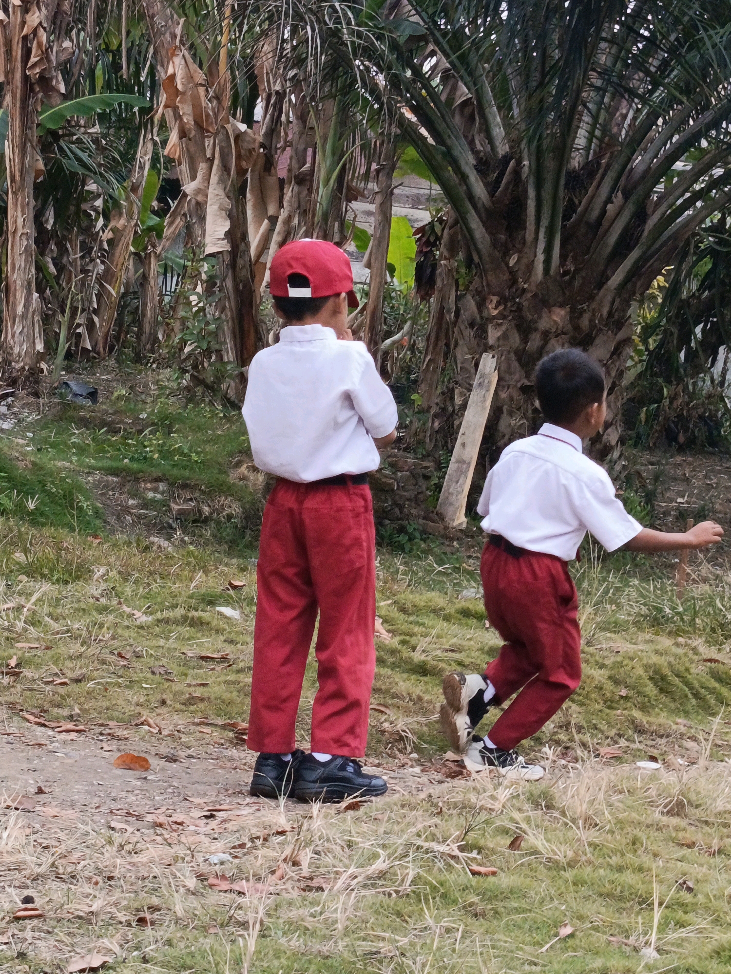 Two young boys, dressed in school uniforms consisting of white shirts and red pants, are in an outdoor, possibly rural, environment. The boy on the left is facing away from the camera, wearing a red cap. The boy on the right is in motion, also facing away from the camera and appearing to be running or walking quickly. They are standing on a path and grassy area, with dense vegetation, including palm trees and banana trees, in the background. The lighting suggests it is daytime, possibly late afternoon, with soft, natural light. The scene is set in Megang Sakti II, Indonesia.