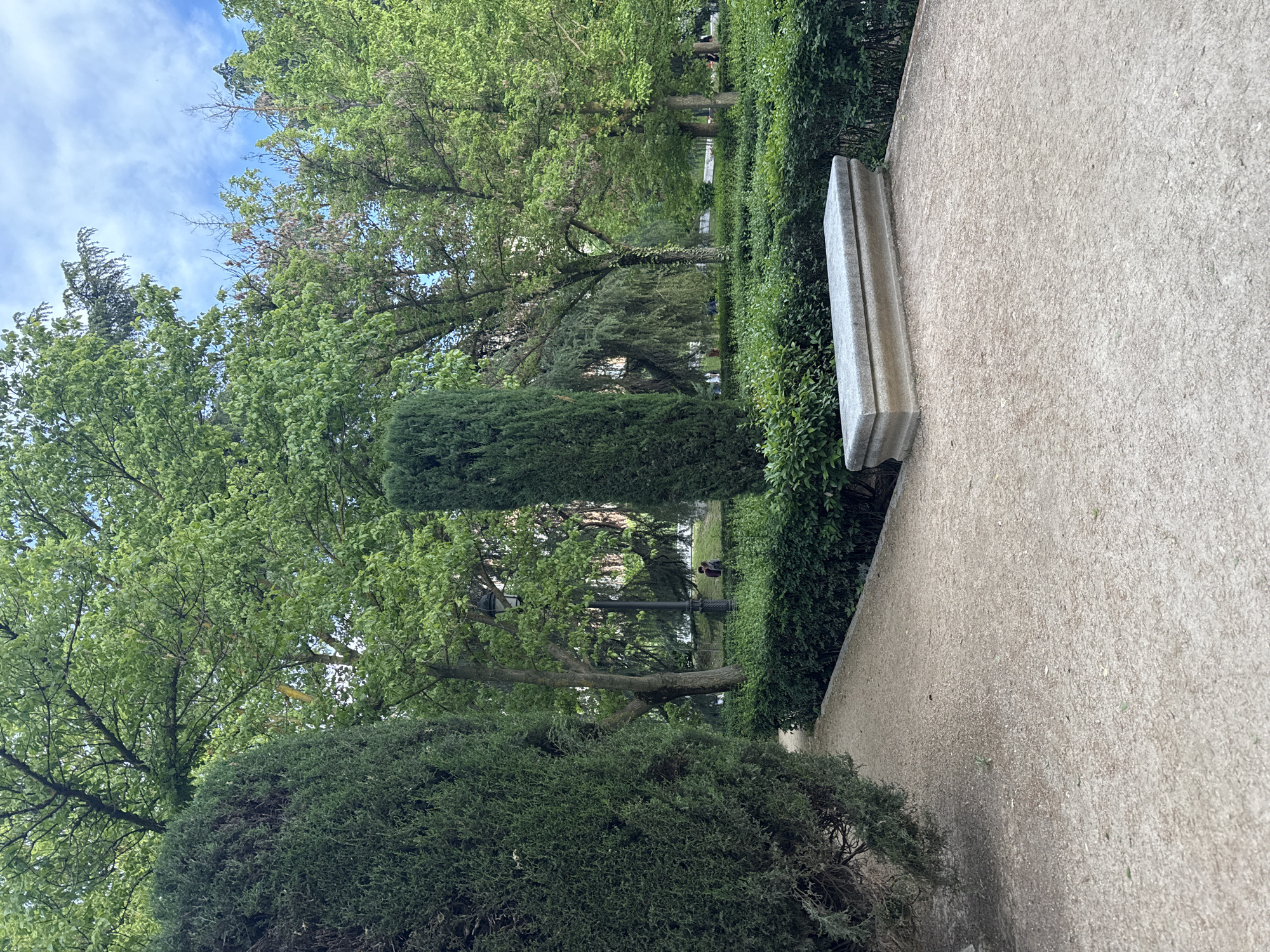 The image captures a scene within the Parque del Retiro in Madrid, Spain. A neatly trimmed hedge runs alongside a stone wall or walkway on the right side of the frame. Beyond the hedge, the park unfolds with trees and manicured greenery. A tall, slender evergreen stands out among the broader trees. In the distance, near a lamppost, two people are situated. The sky is visible through the trees, featuring a light blue hue with some clouds.