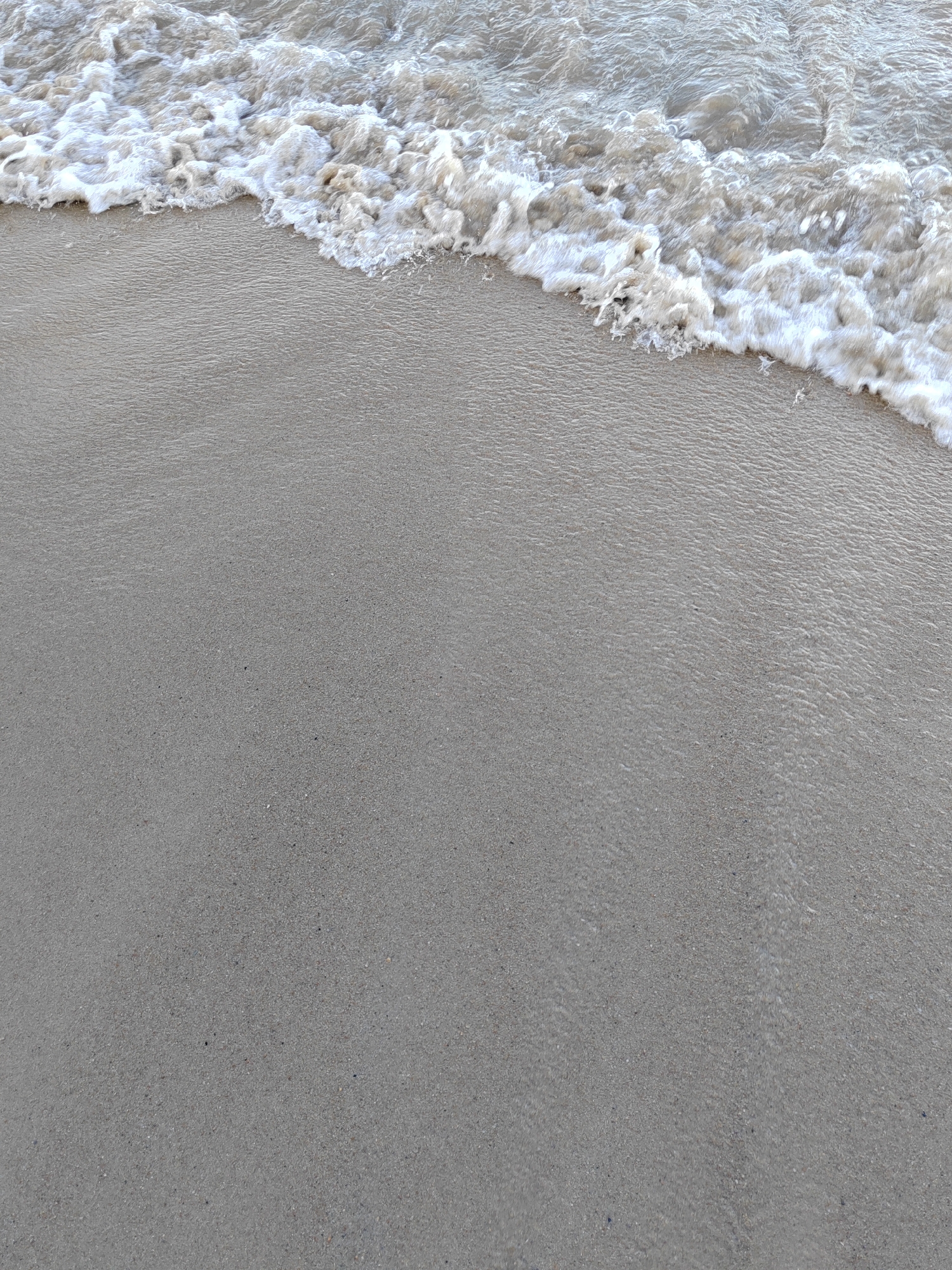 A close-up, overhead shot captures the edge of a gentle wave lapping onto a wet, sandy beach. The sand is a uniform light gray and shows subtle ripple patterns from the receding water. The water itself is foamy and frothy as it breaks, with a murky, light brown hue. The scene is devoid of any people or objects. It is likely a typical stretch of beach along the coast of Nha Trang, Vietnam.