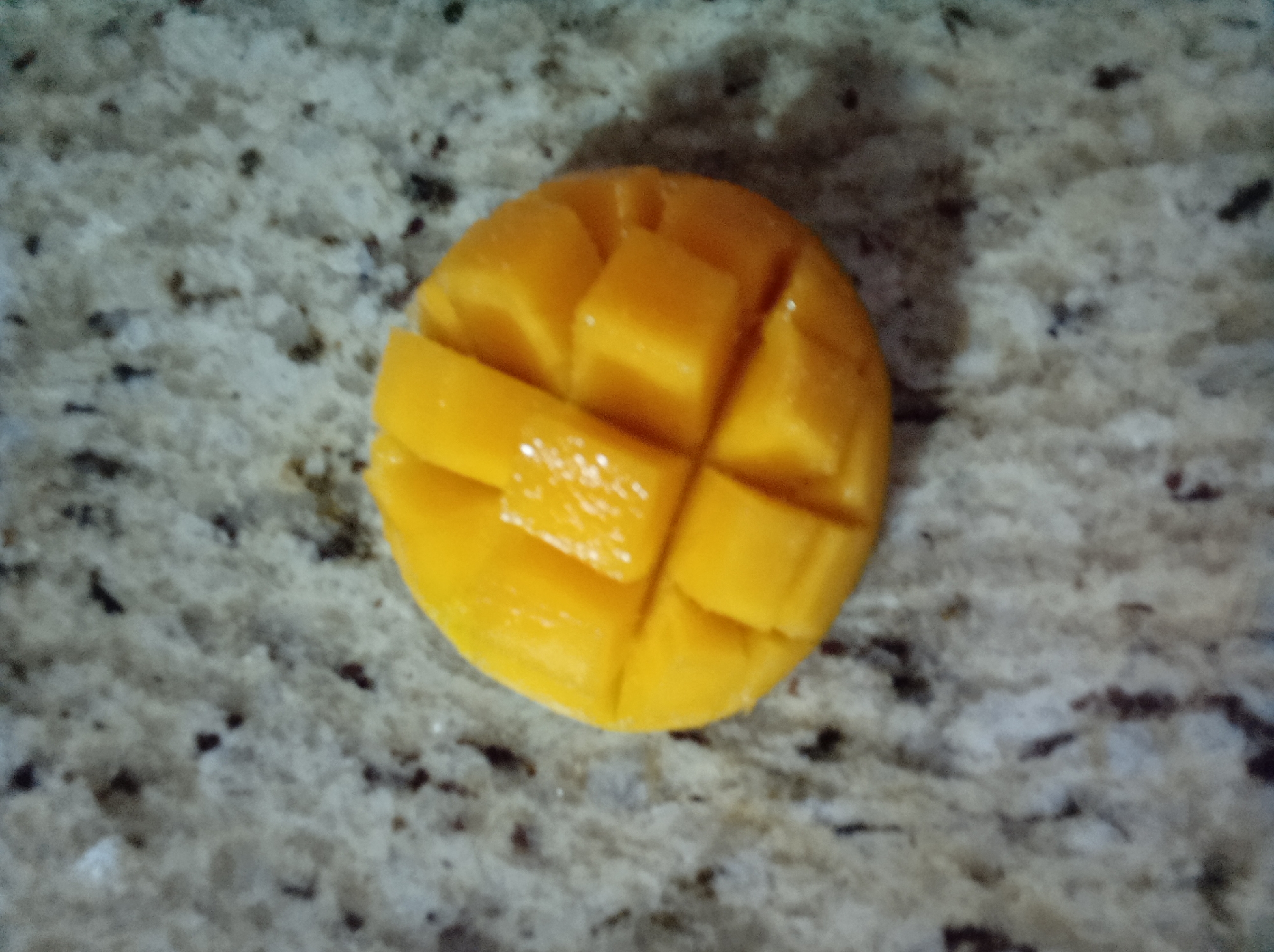 The image features a single, ripe mango, prepared by being scored into cubes and turned inside out, showcasing its vibrant orange-yellow flesh. This method makes the fruit ready for easy consumption. The mango is positioned centrally on a light-colored, speckled countertop, which appears to be made of granite or a similar stone, featuring a mosaic of white, grey, and dark brown or black flecks.
No people are visible in the photograph, and no specific activity is actively taking place beyond the presentation of the fruit. The setting appears to be indoors, likely a kitchen or dining area, illuminated by overhead lighting that casts a soft shadow beneath the mango. The focus is entirely on the fresh produce. There are no discernible time-of-day or weather cues, and no visible text. The context provided indicates the location is Guarenas, Venezuela, where such tropical fruits are commonly enjoyed.