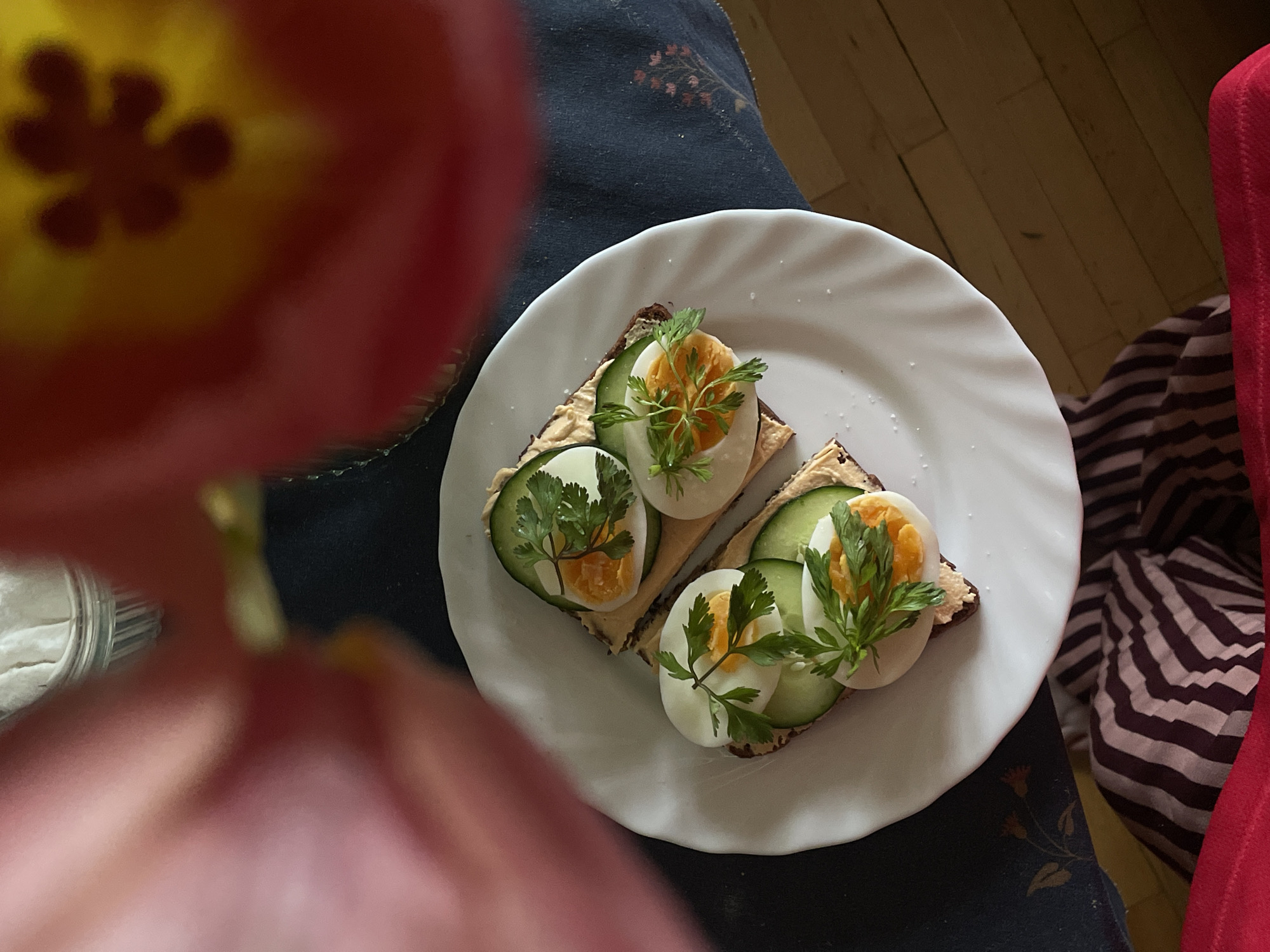 The image shows a white plate with two open-faced sandwiches, each on dark bread. Each sandwich is topped with a spread, cucumber slices, halved hard-boiled eggs, and a sprig of parsley. The plate sits on dark fabric with a floral pattern. A blurred red tulip is in the foreground. A striped pattern, possibly a blanket or clothing, is visible to the right of the plate. The location is unidentifiable as Belgrade, Serbia based on the provided visual information.