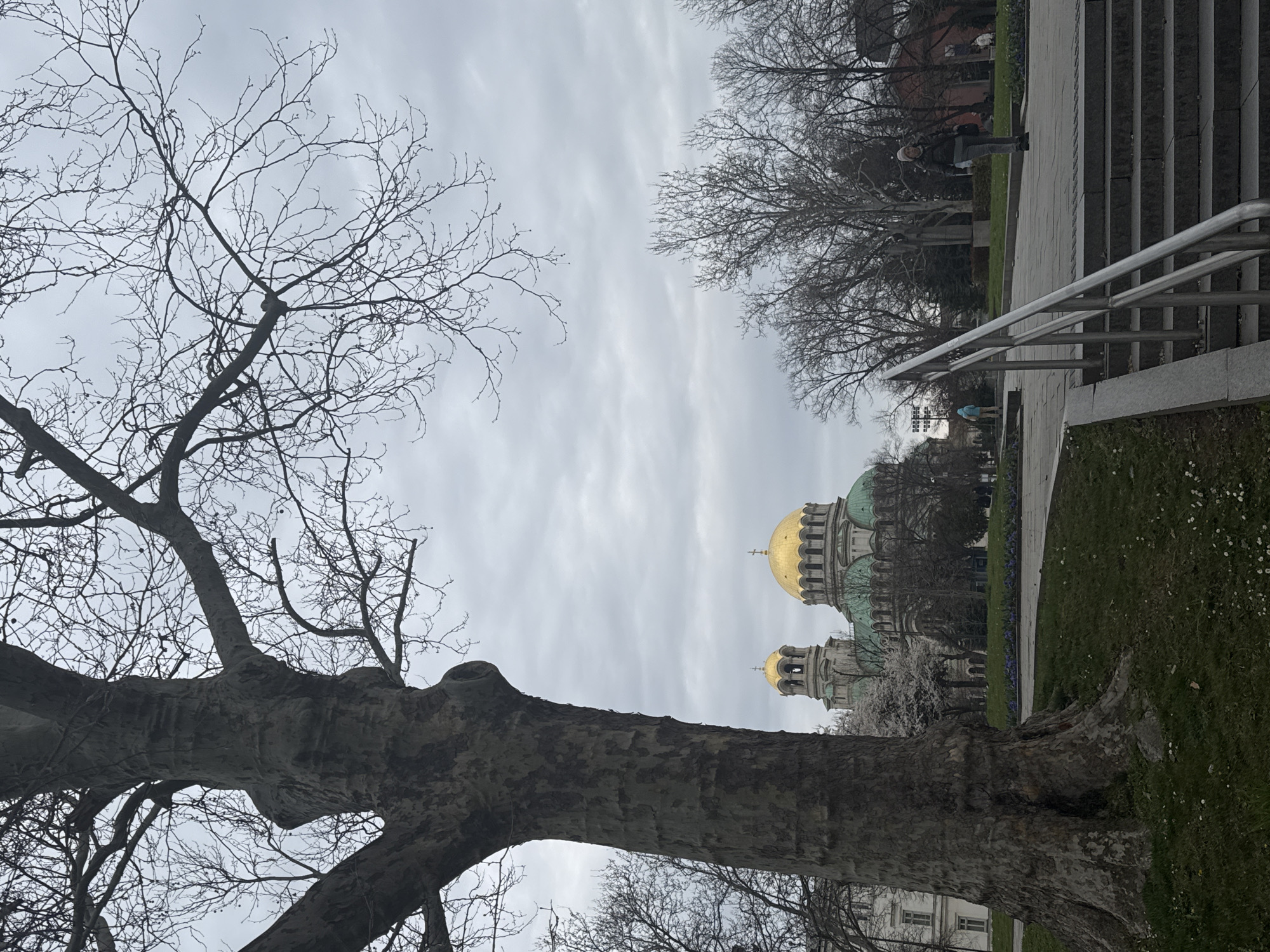 The image shows a low-angle view towards the Alexander Nevsky Cathedral in Sofia, Bulgaria, framed by a large, leafless tree in the foreground. The sky is overcast. A section of a pedestrian area, including stairs with a metal railing, is visible on the right side of the frame. There is a person on the top of the stairs in the background. Patches of grass are interspersed throughout the scene.