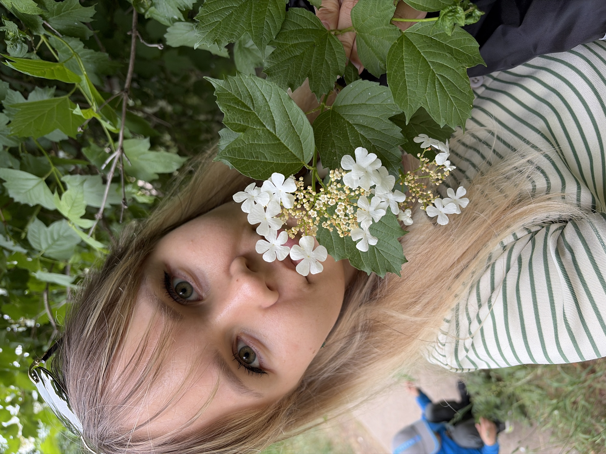 The image shows a young, light-skinned woman with long blonde hair. She is holding a branch of Viburnum opulus with white flowers and green leaves close to her face. She has light green eyes, and is wearing a striped shirt, possibly with green and white stripes. A pair of sunglasses rests in her hair near her temple.
In the background, there's foliage of varying shades of green, suggesting a wooded or garden area. A portion of a person in blue clothing is visible in the lower right corner, hinting that she is not alone.
The photo was taken in Chaikovsky, Russia.