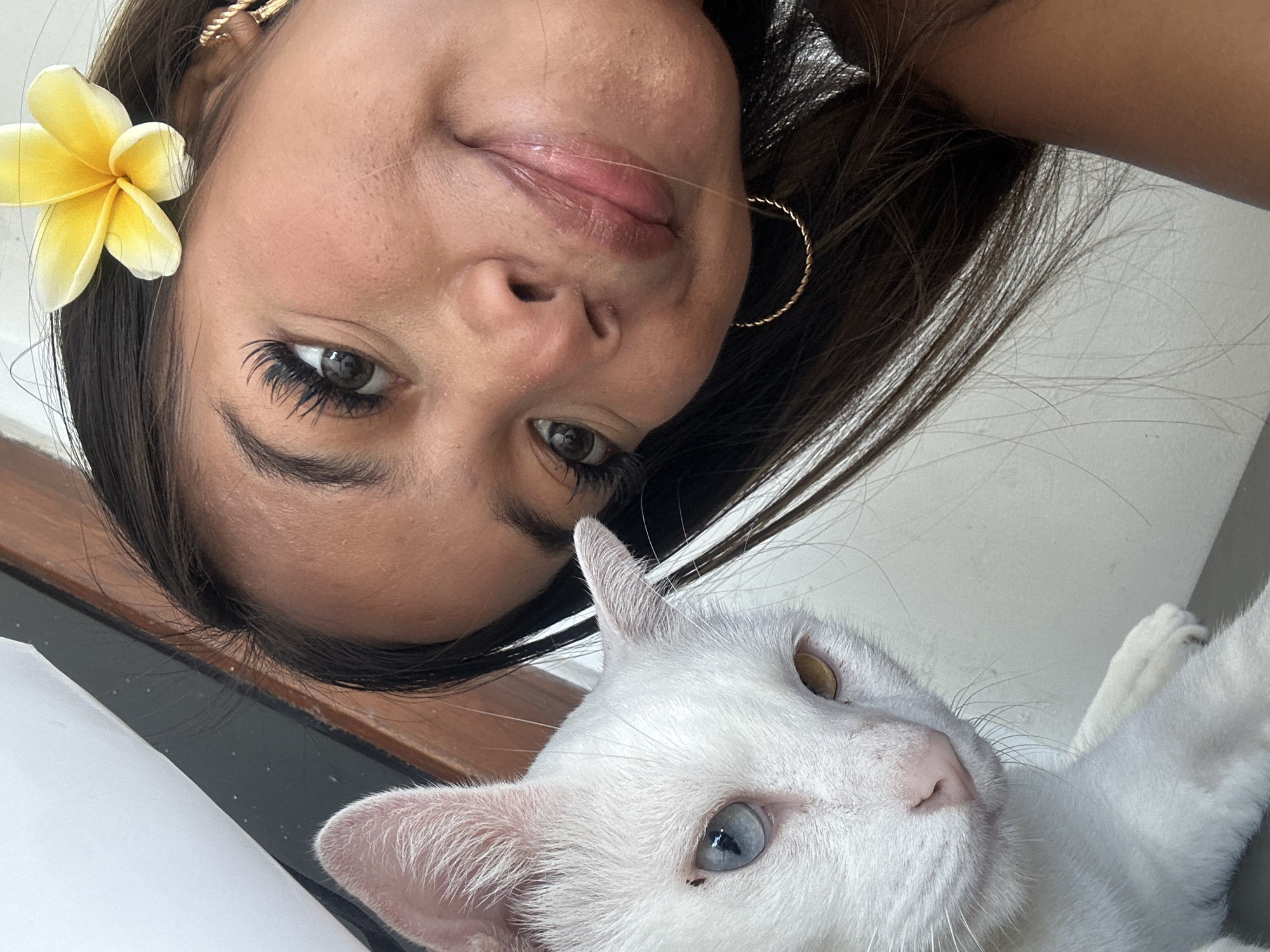 A young woman of Southeast Asian descent is pictured with her white cat in Sukawati, Indonesia. The woman has dark brown hair, a yellow flower tucked behind her right ear, and is wearing gold hoop earrings. Her face is close to the camera, with her left eye visible, and she is smiling. The cat, also white, has striking heterochromia, with one blue eye and one amber eye. The cat's face is also close to the camera, and it appears to be looking directly at the viewer. The background is slightly blurred, but suggests an indoor or shaded outdoor setting, possibly on a veranda, given the glimpse of dark wood trim and a white wall.
