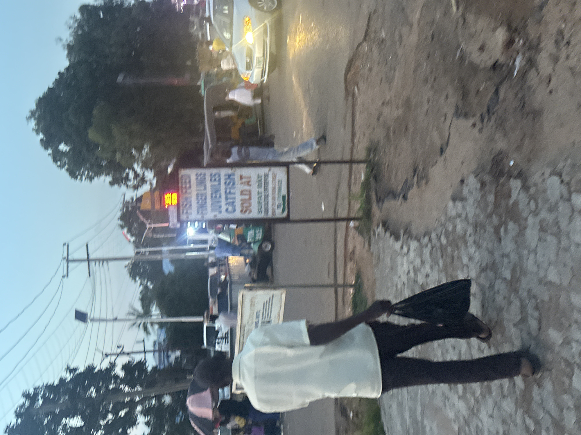 The image depicts an outdoor street scene at dusk or early evening in Unknown, Unknown. Artificial lighting is active, with vehicle headlights on and a red digital display visible on the right.
In the foreground, a man walks away from the camera, slightly to the left. He wears a light-colored, short-sleeved collared shirt, dark trousers, and dark open-toed footwear. He carries a black plastic bag in his right hand. The road surface in the foreground and midground is paved, exhibiting cracks and irregular patches of dirt or exposed earth.
To the man's left, a pink and black umbrella is visible, under which indistinct figures are present. In the midground, multiple individuals are walking across or along the road. One person in a white garment walks from left to right, while another in a light blue shirt and dark trousers walks towards the left. A third person, clad in light blue and jeans, walks towards the camera.
On the right side of the midground, a white sign with blue text on a black frame is prominently displayed. The legible text includes: "FISH FEED," "FINGER LINGS" (likely Fingerlings), "JUVENILES," "CATFISH," and "SOLD AT SUFAT MAT AGRICULTURE..." followed by a partially visible phone number "TEL: 0703673...". Above this sign, a red digital display shows numerical characters, possibly "22" or "23".
On the right side of the road, a light-colored sedan (possibly silver or white) is positioned with its headlights illuminated. Its license plate appears to read "KCY097". Further into the midground, a green and white three-wheeled vehicle (possibly an auto-rickshaw) is visible.
The background features numerous dark-foliaged trees, utility poles, and an intricate network of overhead power lines or communication cables against a light blue, hazy sky. A solar panel atop a tall pole is discernible in the background. The overall scene indicates an active thoroughfare with pedestrian and vehicular traffic, suggesting a commercial or residential urban/semi-urban environment.