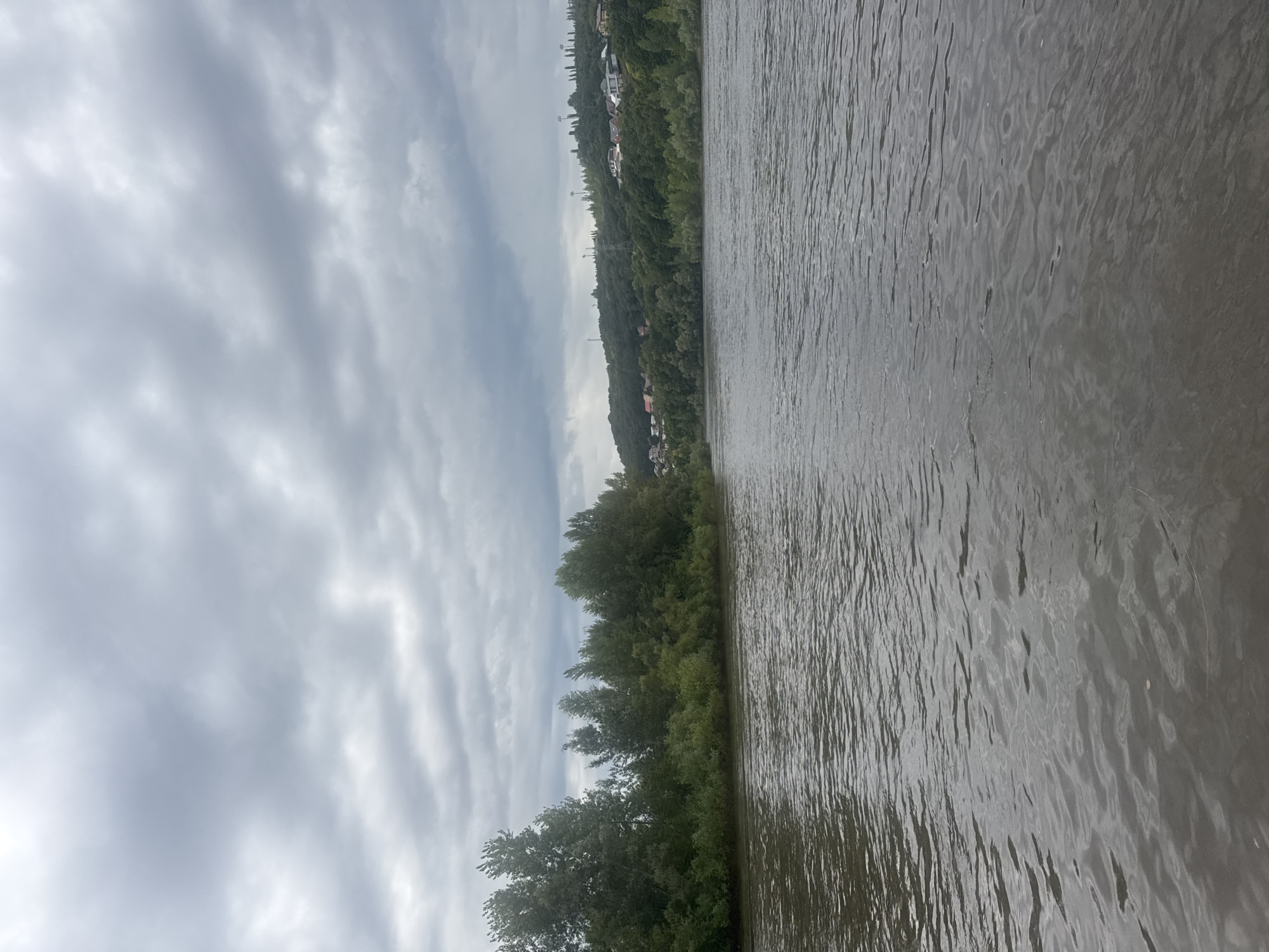 The image captures a wide river flowing through a landscape that suggests the outskirts of Ufa, Russia. The water, a murky brown, is disturbed by ripples, indicating a moderate current. On the left bank, a dense line of trees and bushes forms a verdant wall, their leaves a rich green. Beyond this natural barrier, the land rises, covered in more foliage and scattered houses, suggesting a settlement nestled into the hillside. The right bank is more distant, also densely forested, with more houses and what appear to be communication towers on the crest of the hill. The sky is overcast with heavy, grey clouds, casting a muted light over the entire scene. The overall atmosphere is one of a natural, somewhat wild, environment encroaching on a human habitation.