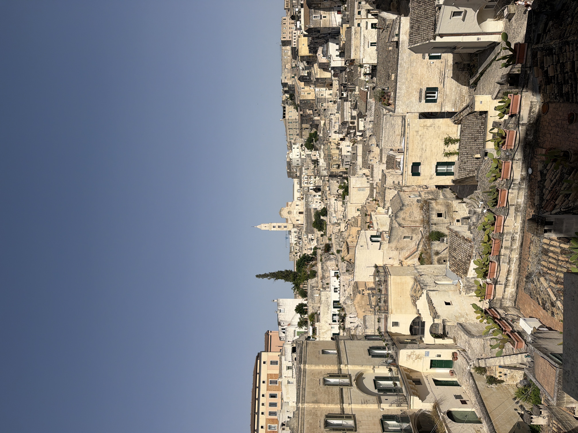 This is a high-angle, full shot of the ancient Sassi di Matera in Italy, bathed in clear, bright daylight under a pale blue sky. The landscape is dominated by a dense collection of honey-colored stone buildings, many with terracotta tiled roofs, stacked and interwoven on a hillside. In the distance, a prominent church with a tall bell tower stands out against the skyline. In the foreground, a row of potted prickly pear cacti adds a touch of greenery to the stone architecture. The scene captures the unique, historic urban environment of Matera, a UNESCO World Heritage site.