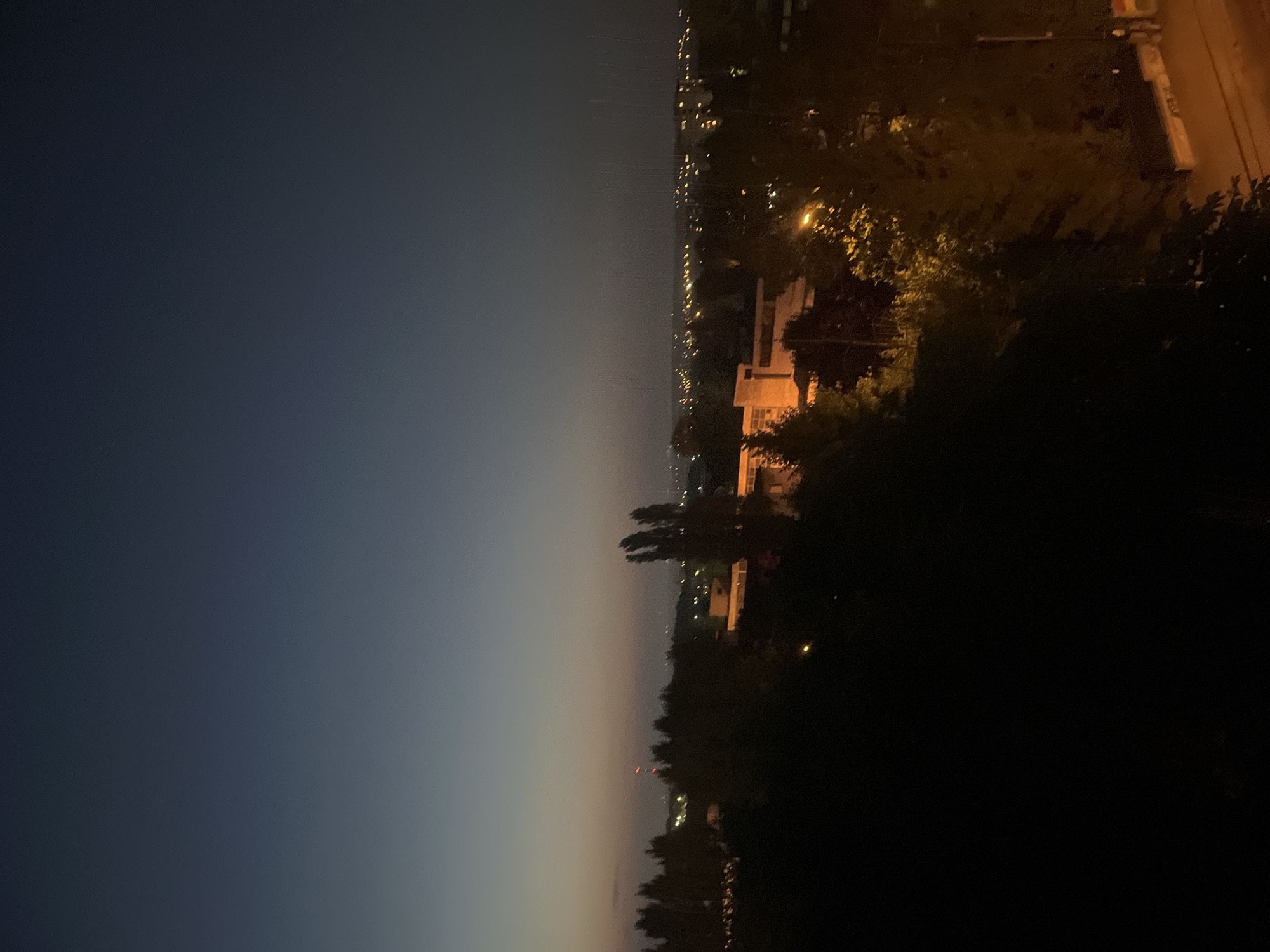 A high-angle, long-shot photograph captures an urban landscape at dusk in the city of Unknown. The sky transitions from a deep navy blue at the top to a lighter shade of grey and pale orange near the horizon. In the mid-ground, silhouetted trees line the landscape, with a few brighter lights from distant buildings visible through the foliage. A building with illuminated windows is present on the right side of the mid-ground. The foreground is dominated by dark, indistinct shapes, likely more trees or buildings, creating a shadowy foreground. The overall scene depicts the transition from day to night in a city environment.