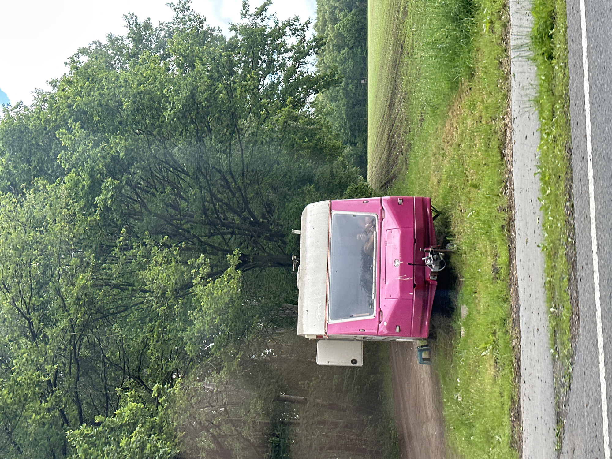 The image shows a pink and white Sprinter van parked on a grassy verge next to a road. The van is facing away from the camera and towards a field. Behind the van, there are trees. The road is on the right side of the image. The location is in a rural area. It is not possible to confirm the precise location within the city of Buxtehude. There are no people visible in the image.