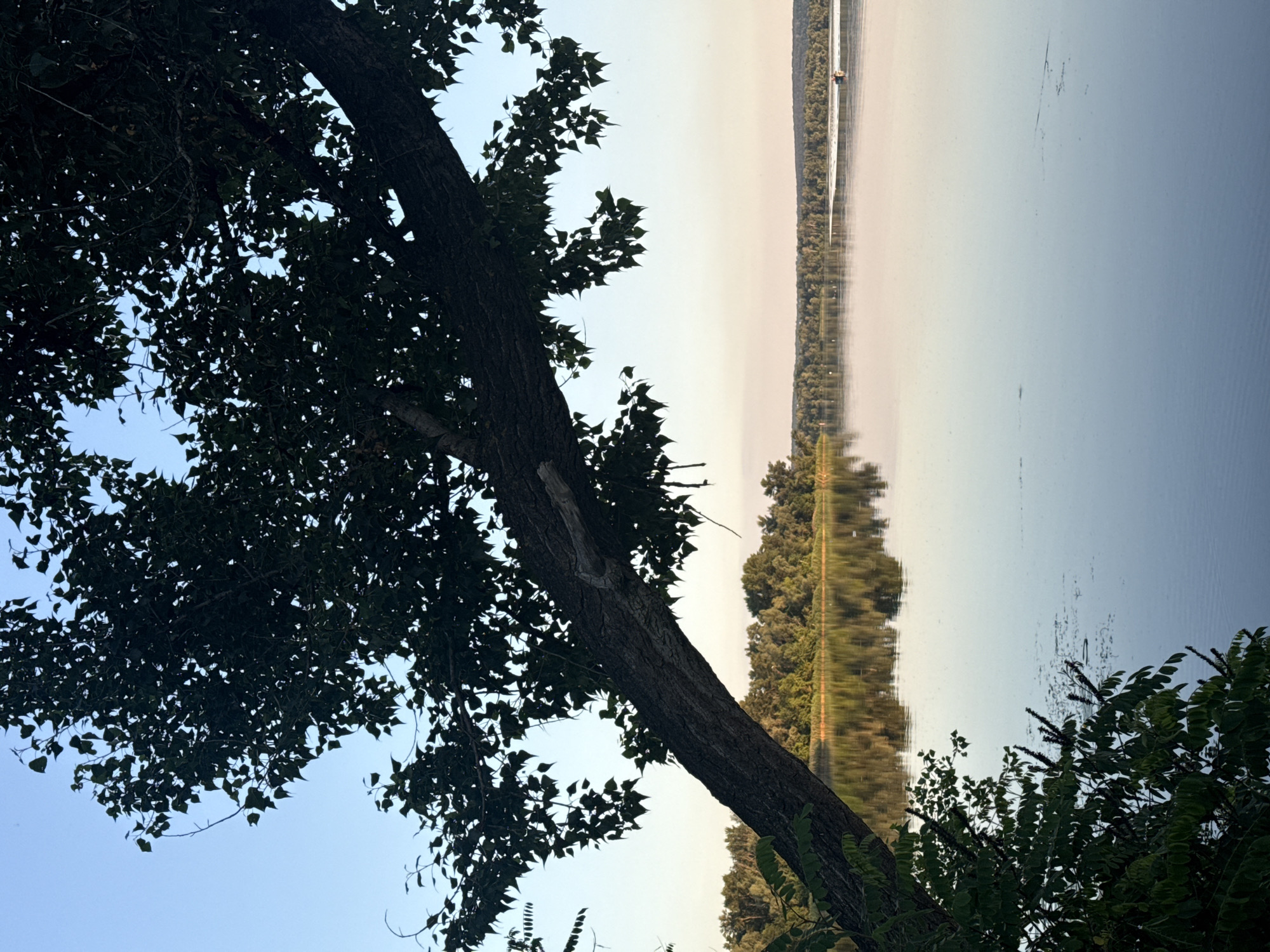 The image depicts a tranquil natural scene by a wide body of water, likely a river or lake, in Obukhivka, Ukraine. The foreground is dominated by the silhouette of a large tree branch extending from the left side of the frame downwards and to the right, with dark green leaves casting shadows. The water surface is calm and reflects the soft hues of the sky, which transitions from a clear blue at the top to a pale, dusky pink near the horizon.
Across the water, a dense line of green trees forms the opposite bank, their reflections visible on the water's surface. In the distance, on the water, a small boat with at least one person is visible, moving away from the viewer towards the right side of the frame. The overall atmosphere is serene and peaceful, suggesting a quiet natural environment. The time of day appears to be late afternoon or early evening, given the soft, diffused light and the colors in the sky.