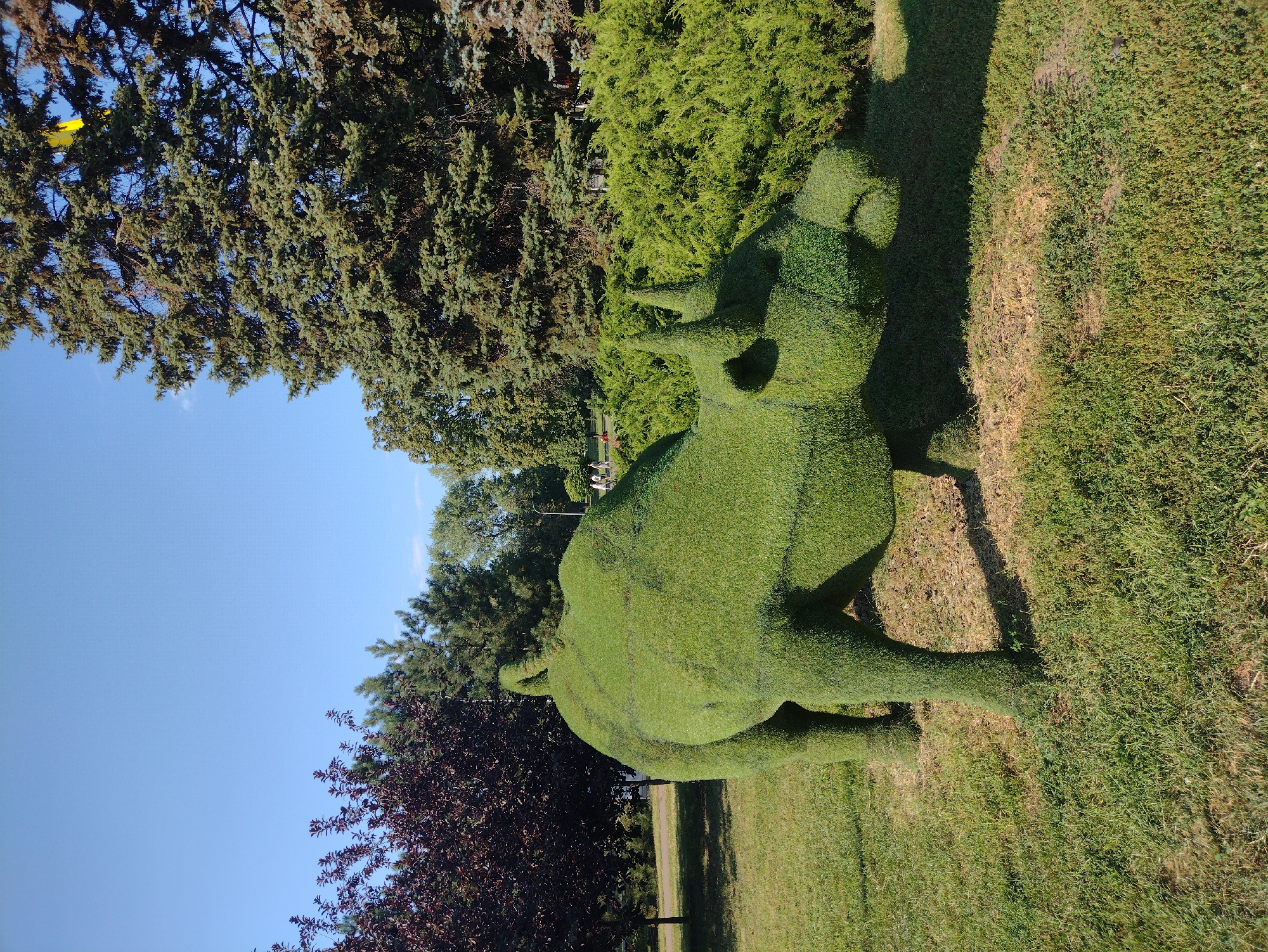 A topiary sculpture of a bull, made of green foliage, stands on a grassy lawn in a park. The bull is positioned in profile, facing right, with its head and horns clearly defined. The sculpture is detailed, with a rounded body, four legs, and a tail. Behind the bull, a dense hedge forms a backdrop, with various trees, including evergreens and deciduous trees with dark red leaves, visible in the background. The sky above is clear blue. In the distance, a few people can be seen walking on a path. The lighting suggests it is daytime, with shadows cast by the bull and the surrounding vegetation.