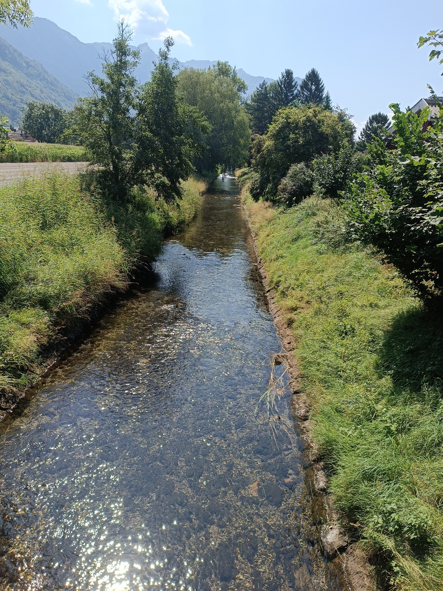 The image depicts a clear, shallow stream flowing through a verdant, natural landscape. The water's surface is dappled with sunlight, revealing a rocky bed beneath. Lush green grass and various trees line both banks of the stream. In the background, a range of majestic mountains under a clear blue sky provides a dramatic backdrop. The scene appears serene and untouched, suggesting a rural or park-like setting. There are no visible people or animals in the frame. The absence of urban structures and the presence of natural elements indicate that this is likely an outdoor scene away from the city center of Vaduz, Liechtenstein, possibly in a hiking area or a nature reserve bordering the town.
