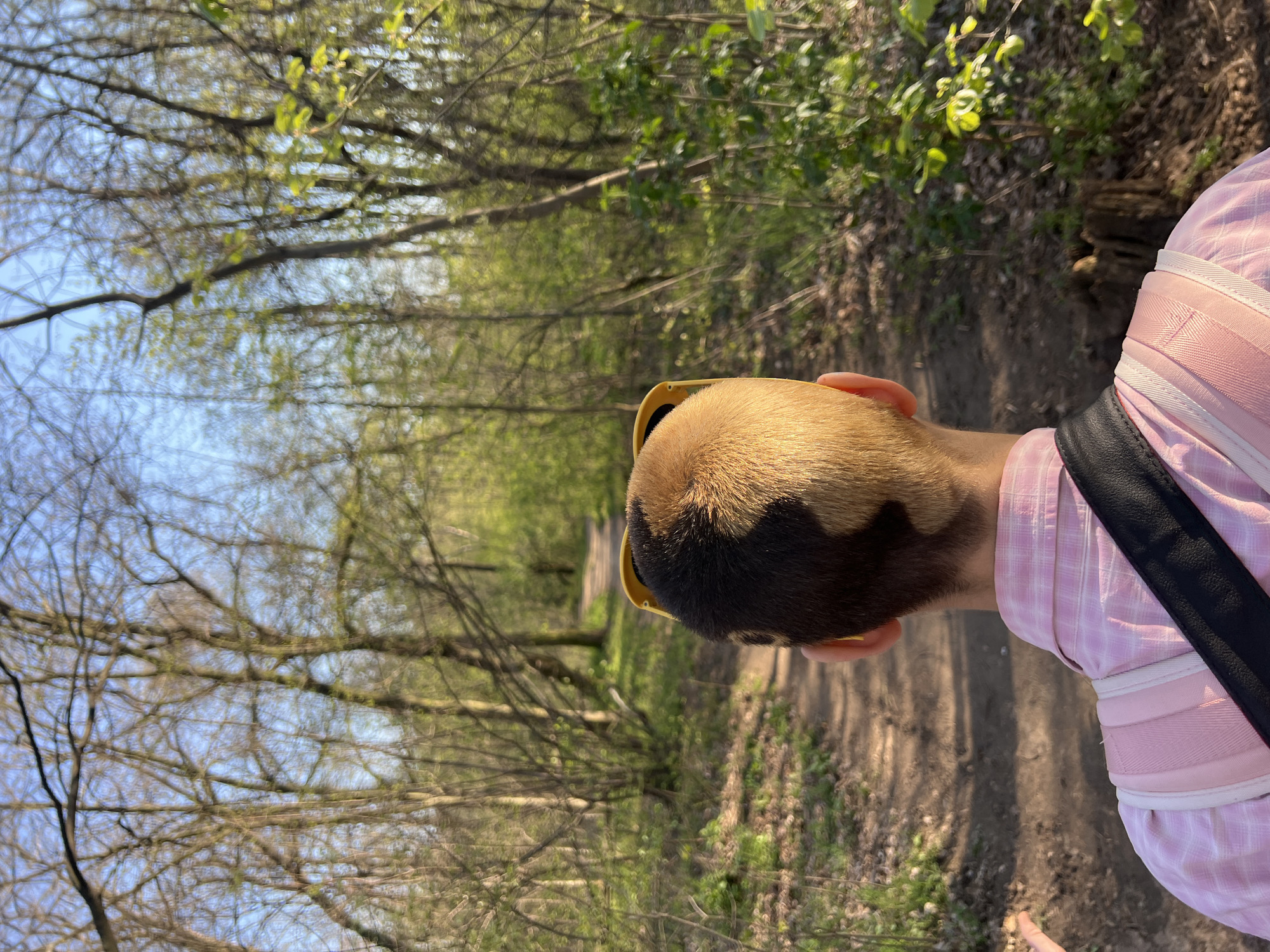 The image shows a person from the back, walking on a dirt path through a wooded area. The person has short, two-toned hair (light and dark) and is wearing yellow sunglasses, a pink and white striped shirt, and a black strap across their back. The path is surrounded by trees with early spring foliage. The location is a wooded area possibly in or near Belgrade, Serbia, as specified.