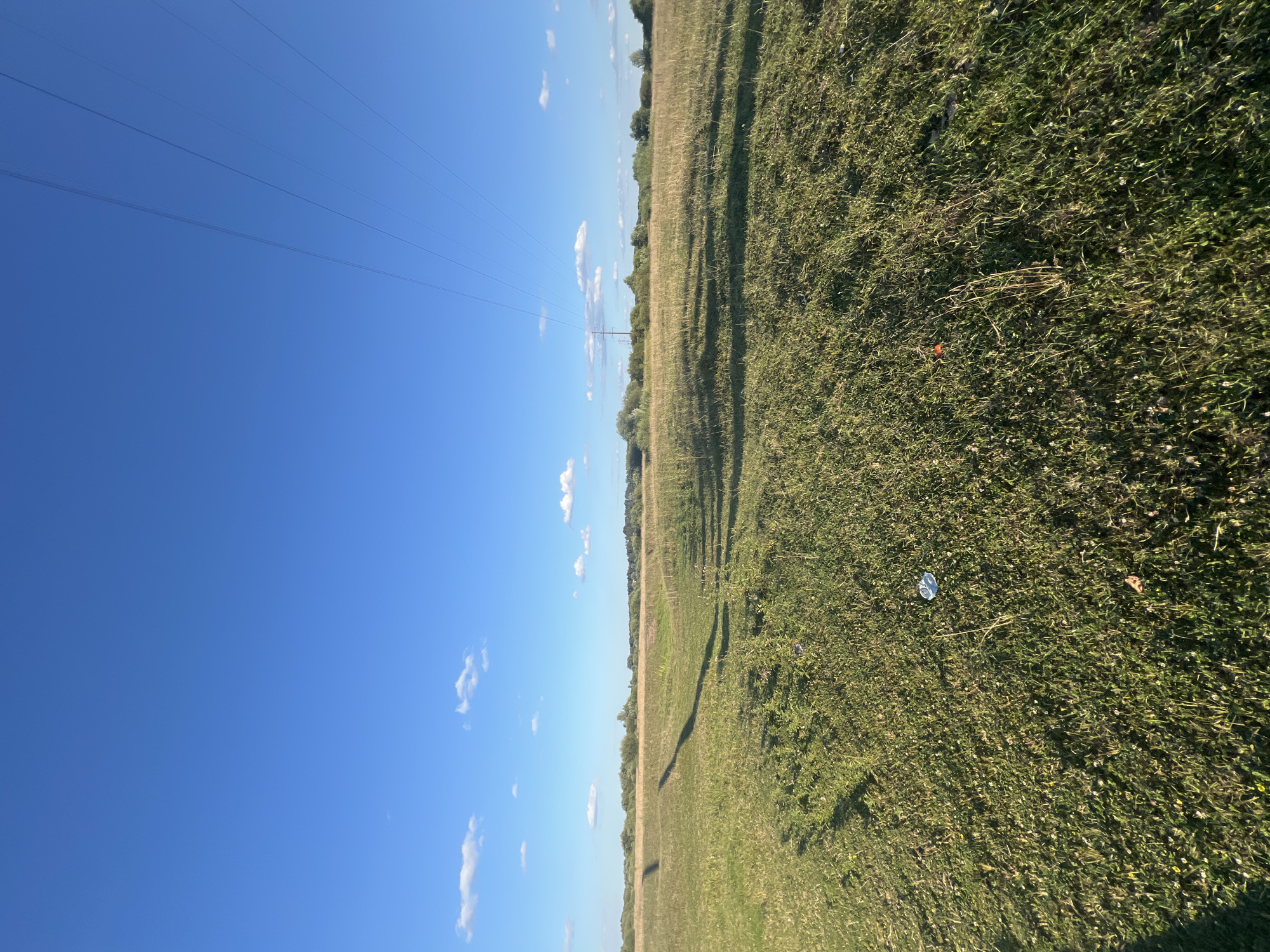 The image depicts an outdoor scene in Sobishchytsi, Ukraine, characterized by a vast, sun-drenched field under a clear blue sky dotted with scattered white clouds. Power lines stretch diagonally across the upper portion of the frame, supported by distant poles. The foreground consists of tall, green grass, interspersed with some dry stalks and small white flowers. A few pieces of litter, appearing as crumpled white and silver objects, are visible on the grass in the mid-foreground. The mid-ground and background are comprised of a gently rolling field that transitions into a line of trees and vegetation, suggesting a rural or semi-rural setting. The lighting indicates it is likely daytime, with the sun casting long shadows across the field, particularly from an unseen object to the left. No people are present in the image.