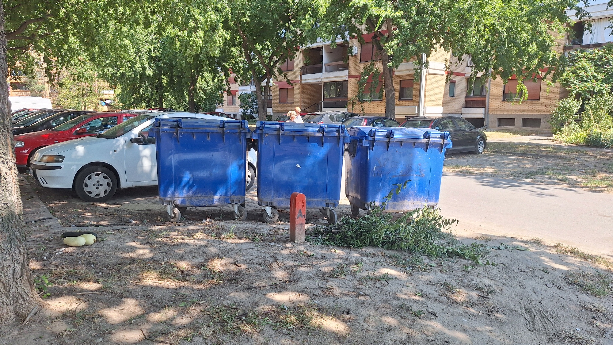 A group of three large blue trash bins on wheels are lined up on a patch of dirt next to a paved road. A small orange and red marker post with some letters on it is in front of the middle trash bin. To the left of the trash bins, a white car and a red car are parked. In the background, a multi-story brick building with balconies and windows is visible, surrounded by lush green trees. The scene appears to be in an urban residential area, possibly a parking lot or street in Sombor, Serbia. A couple of people are visible near the building in the background, and a few pieces of what appear to be vegetables are lying on the ground near the parked cars.