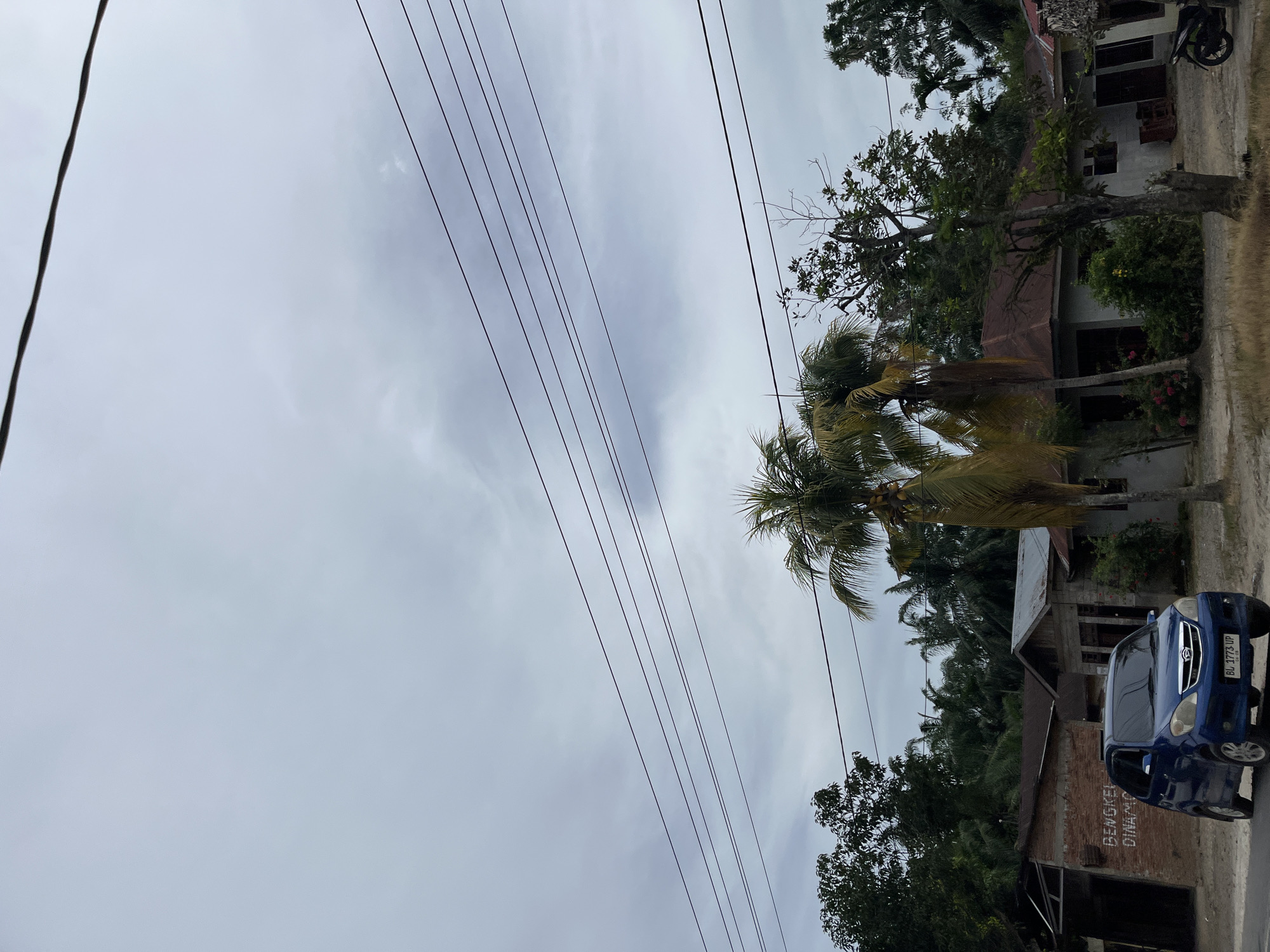 The image depicts a street scene in Seunebobaru, Indonesia, under an overcast sky. A blue hatchback car, bearing the license plate "BL 1773 UP," is parked on the left side of a dusty road. Adjacent to the car is a brick building with white lettering that reads "BENGKEL DINAMO." Further down the road, several houses with reddish-brown roofs are visible, interspersed with lush green trees and palm trees. The foreground is dominated by dry grass and dirt. Overhead, multiple electrical wires stretch across the frame, contributing to the urban-rural interface feel of the location. There are no people or animals visible in the frame. The overall atmosphere is subdued due to the cloudy weather.