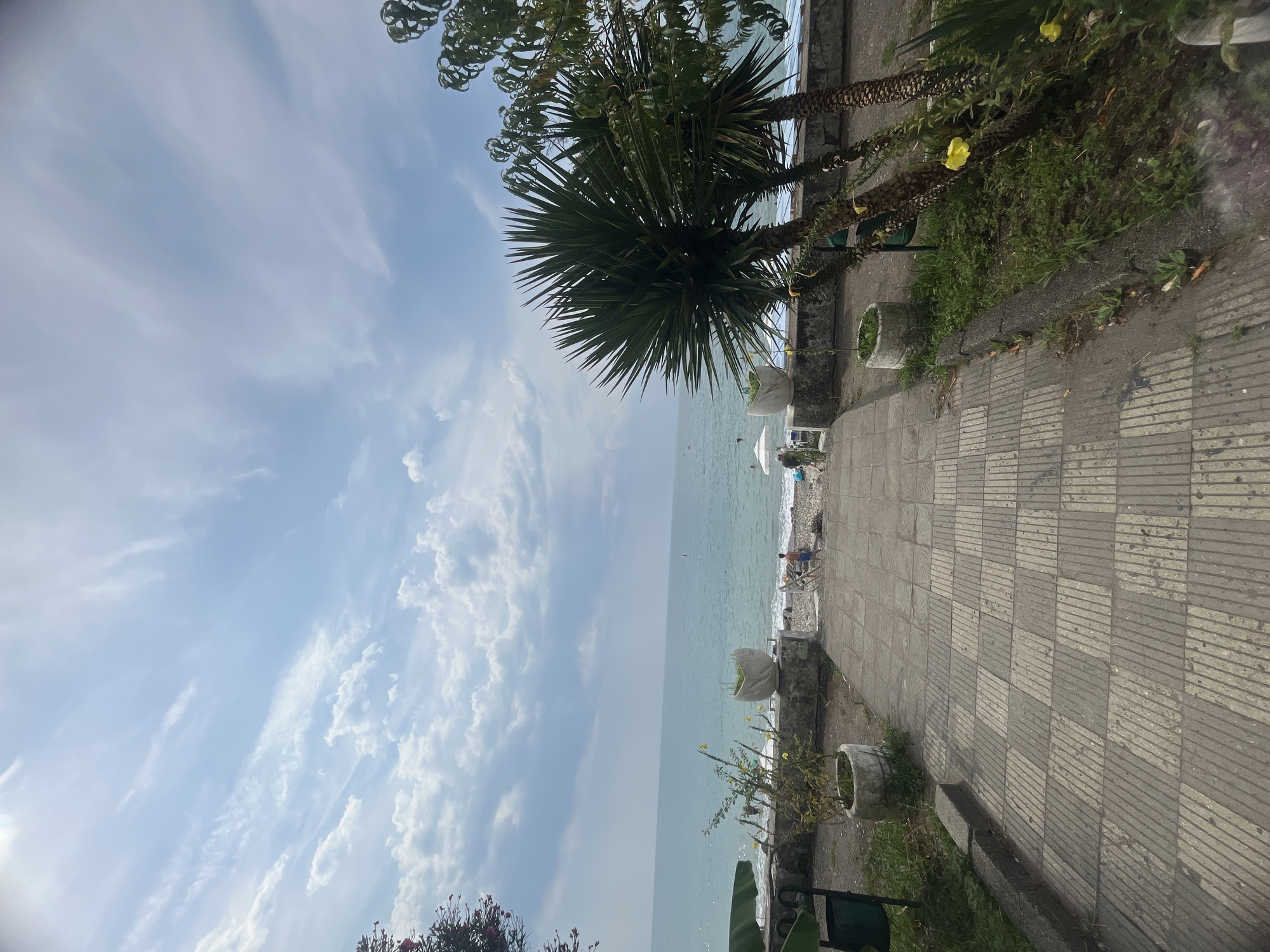 The image captures a view of the Black Sea from a pathway in Sokhumi, Abkhazia. A checkered tiled walkway leads down a gentle slope towards a pebble beach where several people are visible. The sea is calm and a light blue, meeting a horizon dominated by a partly cloudy sky with scattered white and gray clouds. Palm trees and other lush greenery flank the pathway, with potted plants adding decorative elements. In the distance, a few beach umbrellas and individuals can be seen enjoying the seaside. The overall atmosphere is serene, suggesting a relaxed day at the beach.