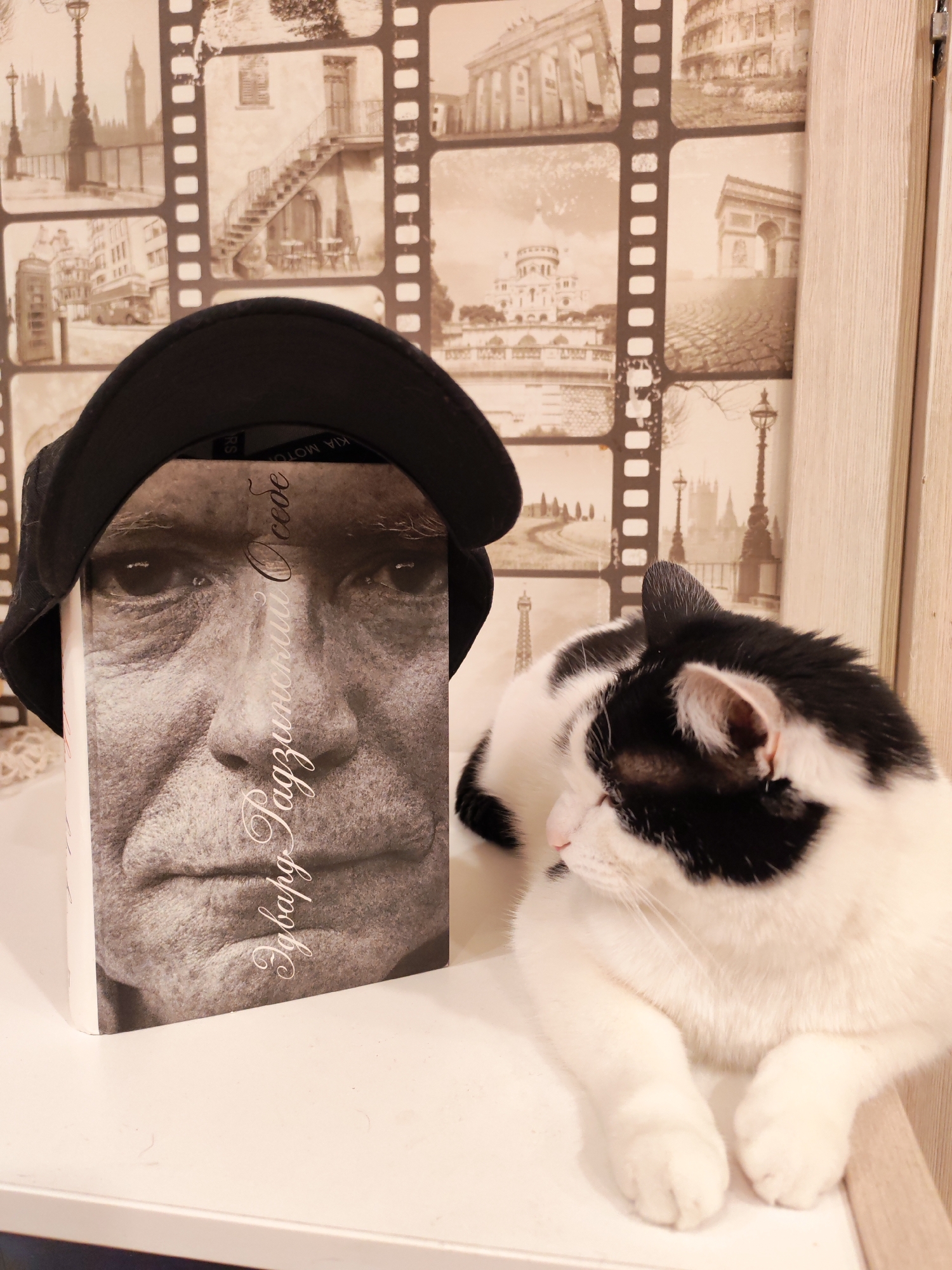 The image shows a black baseball cap resting on top of a book with a black and white portrait of a man on the cover. The book is standing upright on a white surface. To the right of the book is a white cat with black markings, lying down. The background is a wallpaper with a film reel design featuring various landmarks like the Eiffel Tower, the Arc de Triomphe, and other architectural structures in sepia tones. The location is implied to be in Chaikovsky, Russia, based on the book title, which translates to something along the lines of "Eduard Radzinsky: Special." There are no other people in the image besides the man in the portrait. The actions involve the placement of objects: the cap on the book, and the cat resting beside it.