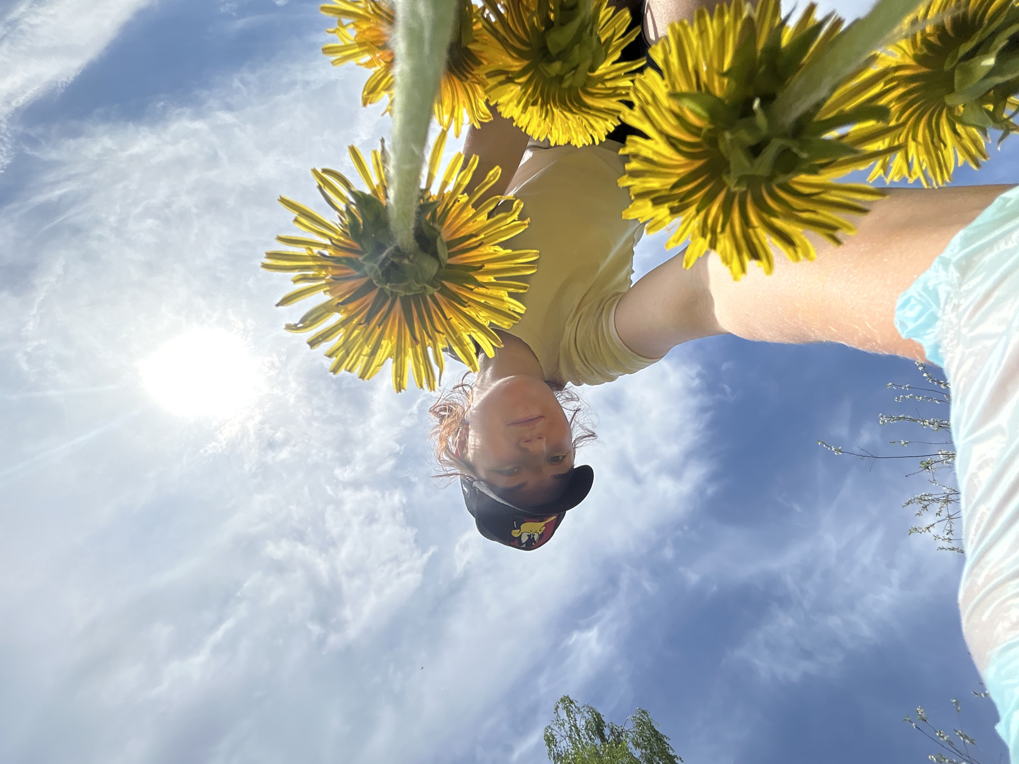 A low-angle, upward-facing photograph depicts a person holding a cluster of dandelions against a backdrop of a bright, cloudy sky. The person, wearing a yellow t-shirt and a dark baseball cap, faces the camera. The dandelions, with their yellow petals, are positioned close to the lens, framing the scene. The sky is blue, dotted with white clouds and illuminated by a bright sun in the upper left. A tree is visible in the bottom of the frame. The photo does not contain evidence for or against the photo being taken in Noviy, Russia.