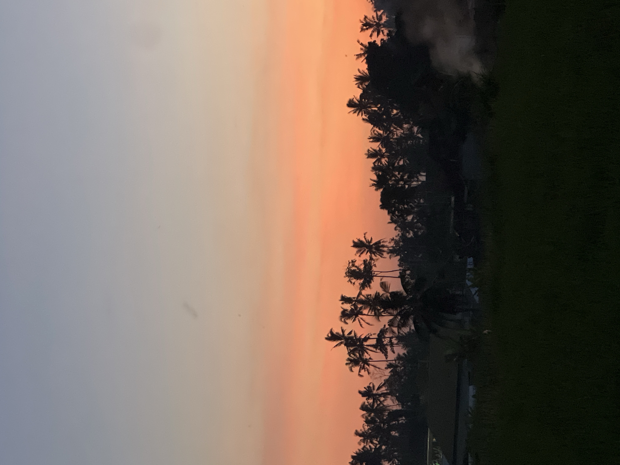 The image depicts a landscape in the Ubud District, Indonesia at twilight, as suggested by the sky's gradient from grey to pink. Silhouetted palm trees are visible against the sunset, with lush vegetation and some structures in the foreground. There is evidence of smoke, possibly from burning vegetation, towards the right side of the image. The overall scene evokes a tranquil and natural environment.