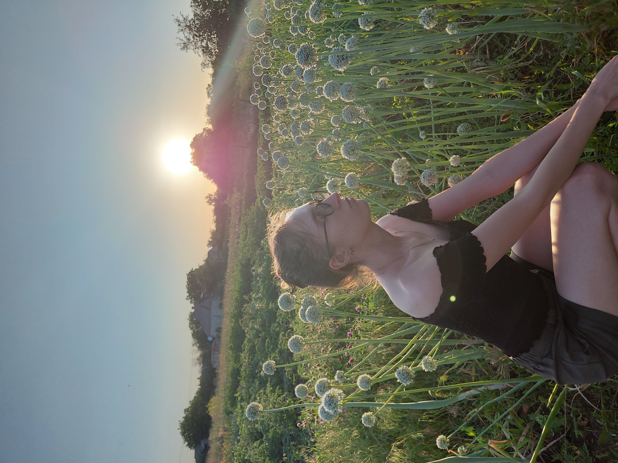 A woman is sitting in a field of onion blossoms at sunset. She is wearing a black top and shorts, and her sunglasses are on. The sun is setting behind a grove of trees, casting a warm glow over the scene. The onion blossoms are in full bloom, their white spherical flowers dotting the green stalks. The woman is looking up at the sky, her face illuminated by the setting sun. The overall mood of the image is peaceful and serene.