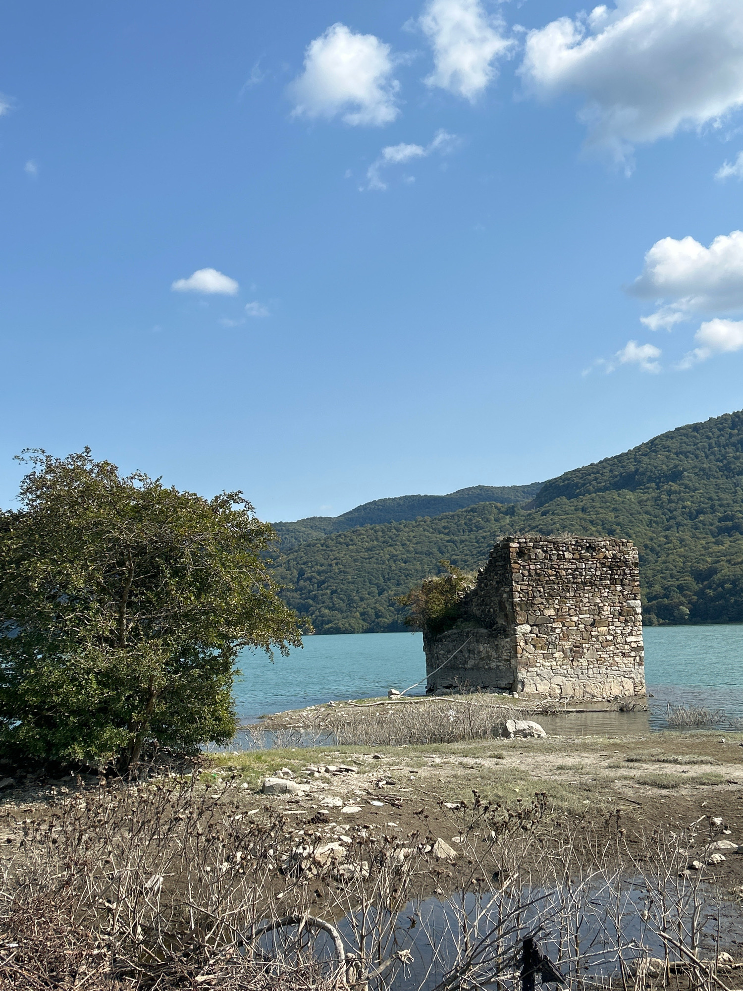 The image shows a scenic view of the partially submerged ruins of a stone structure on the shore of a lake, with a dense, green forested mountain range in the background under a bright blue sky with scattered white clouds. To the left of the ruins, a large, leafy tree stands on the grassy bank. The foreground consists of dry, brittle vegetation and rocky terrain. The water is a clear turquoise color. The scene is likely located in Pkhundavi, Georgia, given the characteristic landscape and architecture.