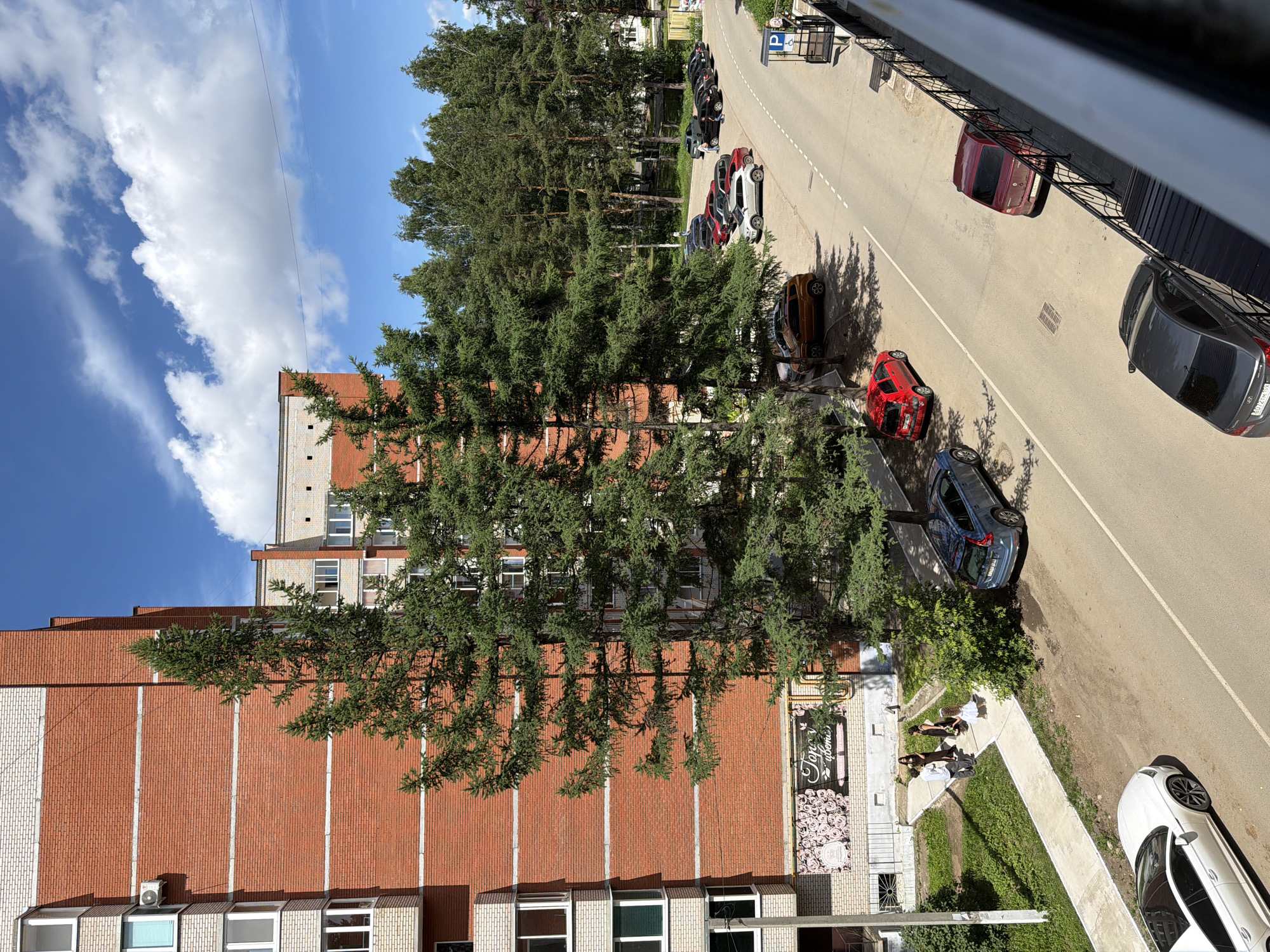 The image shows an aerial view of a residential street in Chaikovsky, Russia, on a sunny day. A multi-story brick apartment building, with white trim around the windows, dominates the left side of the frame. Tall evergreen trees grow in front of the building, casting shadows on the facade. Several cars are parked along the street, including a white sedan, a blue SUV, a red hatchback, a silver SUV, and several dark-colored vehicles further down. On the sidewalk in front of the building, three people, one appearing to be a child in a white dress, are standing and interacting. A sign with floral imagery and Russian text is visible on the building's exterior. The street is paved with asphalt, and a grassy area with more trees lines the far side of the road. A pedestrian crossing sign is visible on the right side of the street.