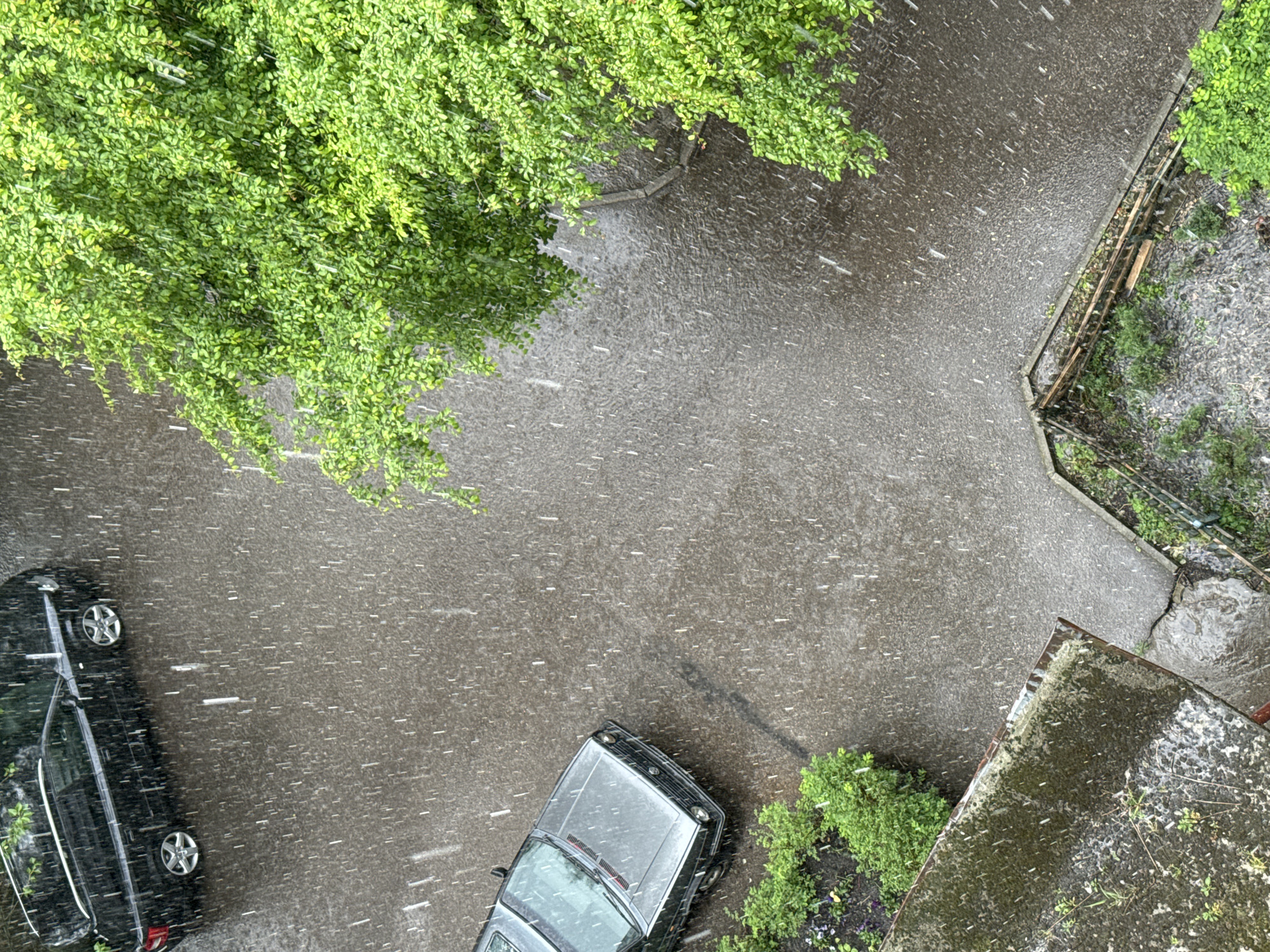 A top-down view reveals a rain-soaked urban scene. A black car occupies the left side, while a gray car is positioned in the lower center. A pedestrian path, damp with rain, intersects at the upper right. Green foliage overhangs the scene at the top left and appears along the right side and adjacent to the gray car. The rain is visible as streaks across the frame.