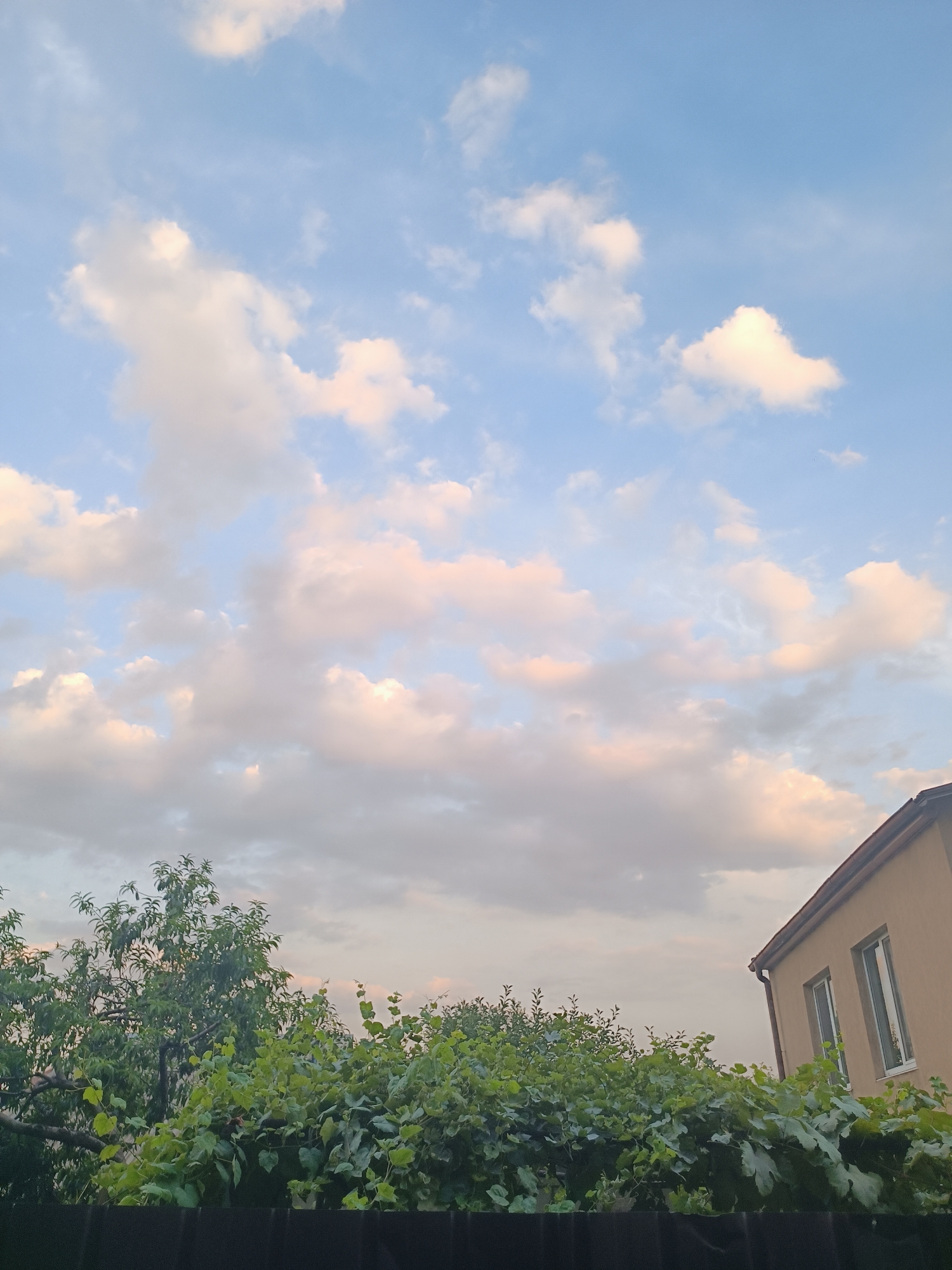 A low-angle, full shot captures a pale blue sky filled with scattered, fluffy white and pinkish clouds. In the lower right corner, the angled side of a tan-colored house with two rectangular windows is visible, its roofline a dark red. A thick line of lush green foliage, comprising trees and vines, stretches across the bottom third of the image, with a dark fence line at the very bottom. The scene appears to be outdoors in a residential area, likely during the day given the bright sky.