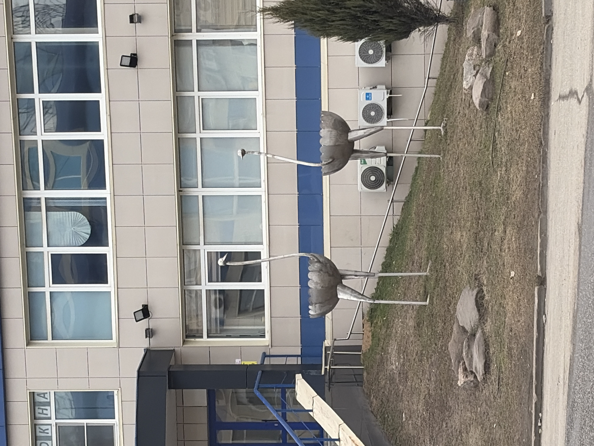 The image shows two metal ostrich sculptures in front of a modern building with many windows and a blue vertical stripe. The building has external air conditioning units. The sculptures are standing on a grassy area with some scattered rocks. The location is identified as Izhevsk, Russia based on the inscription on the building, though the words are in Russian. A blue metal handrail is visible in the foreground.