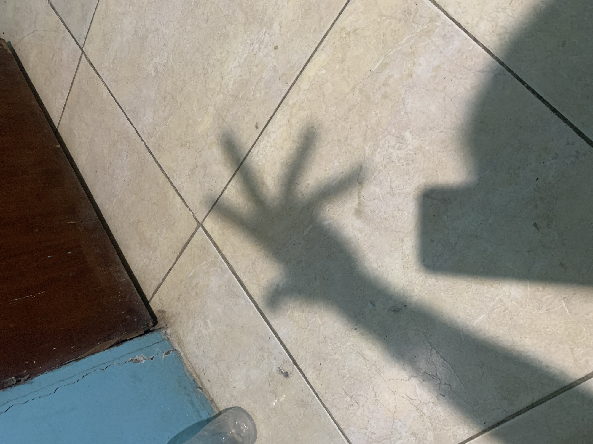 The image displays an indoor or semi-enclosed scene, likely in Santa Ana, Venezuela, dominated by the interplay of strong sunlight and shadows on a tiled floor. The floor consists of light-colored, possibly beige or off-white, ceramic tiles with dark gray grout lines, showing a subtle marbled texture.
The most prominent subjects are dark shadows cast across the floor. In the central area, a distinct shadow of a human hand is visible, with fingers splayed outwards, possibly in a waving or reaching gesture. To the right of the hand, a larger, more ambiguous shadow resembles the profile of a human head and upper torso.
In the upper left quadrant, a dark brown wooden object, possibly a piece of furniture or a door frame, angles into the frame, showing some signs of wear and tear. Below this wooden object, along the bottom left edge, a strip of light blue surface is visible. This surface appears to be painted concrete or a similar material, exhibiting cracks and chips. A clear plastic bottle is partially visible resting on this blue surface in the bottom left corner.
The sharp, well-defined nature of the shadows suggests a bright, sunny day, indicating that the time of day is likely morning or afternoon when the sun is at an angle that allows it to cast shadows indoors. There is no visible text present in the image. The scene captures an ordinary moment, emphasizing the visual contrast created by the strong sunlight.