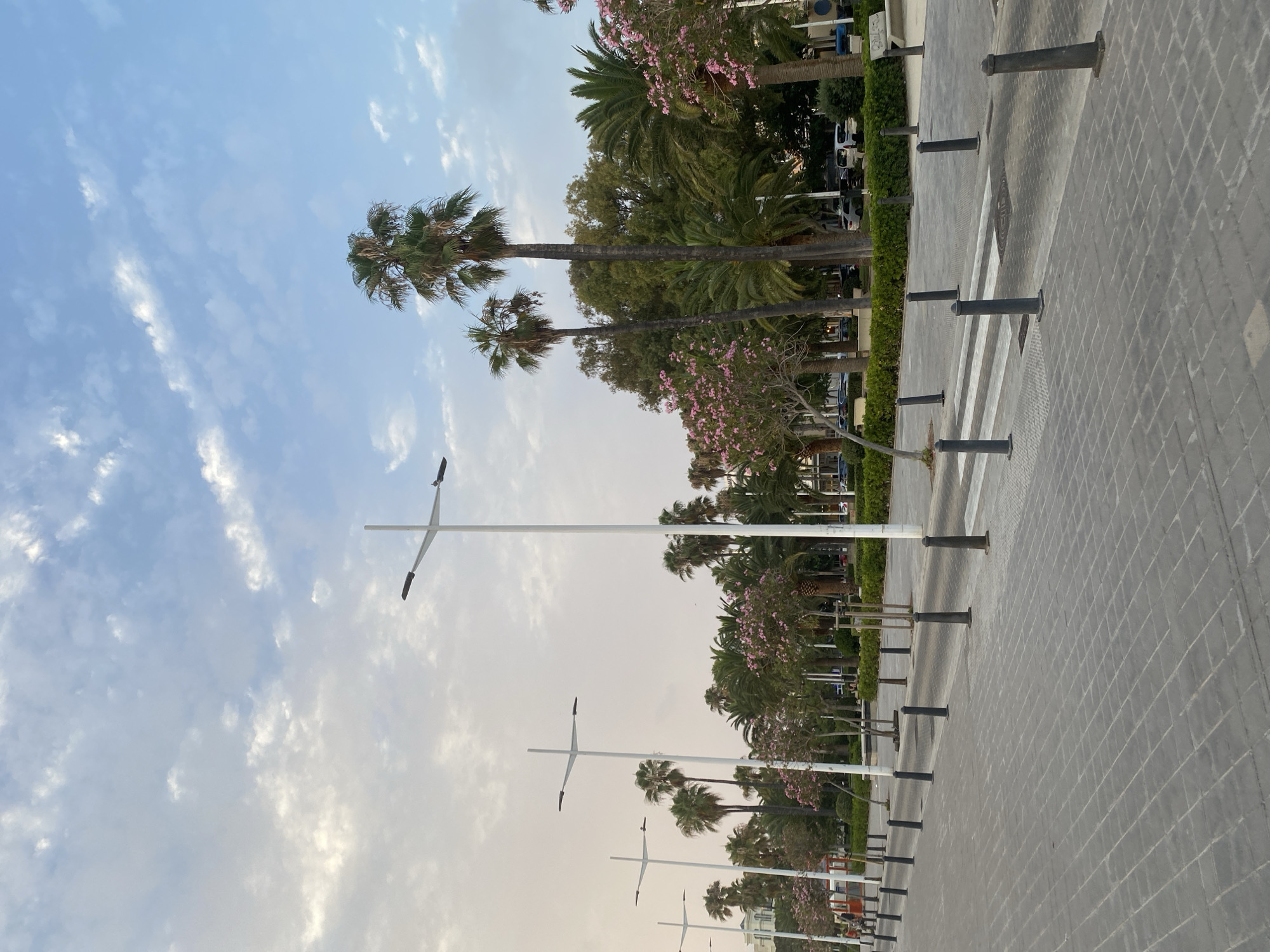 The image depicts a pedestrian walkway and street scene in Valencia, Spain. In the foreground, a wide, gray, brick-paved walkway is lined with dark gray bollards. A crosswalk with white stripes is visible across the street. In the background, a row of modern white streetlights with multiple arms stands along the walkway. Beyond the streetlights is a lush green park area featuring numerous palm trees and flowering trees with pink blossoms. A hedge borders the park. The sky above is a light blue with scattered white clouds. The scene appears to be a well-maintained public space in an urban coastal setting. No people are prominently featured, though distant figures can be vaguely discerned near a red structure on the left side of the image.