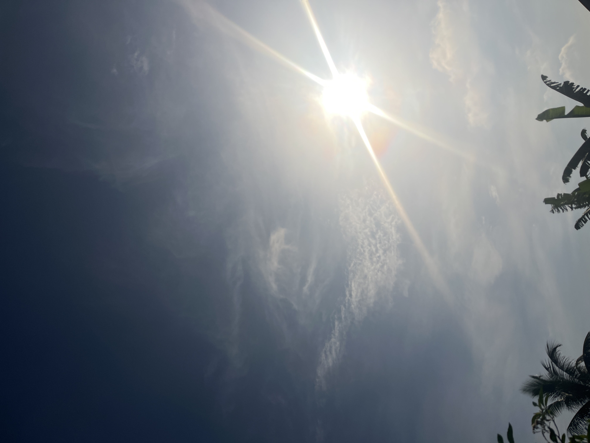 The image shows a view of the sky with the sun shining brightly, creating a strong glare and starburst effect. There are also wispy clouds scattered across the sky. In the lower right corner, there are silhouettes of leaves from trees, possibly palm or banana trees, typical of a tropical environment. Based on the prompt indicating that the location is in Ikot Ekpene, Nigeria, this scene is likely a view looking upward from a location in that city, with the trees being common in the local landscape.