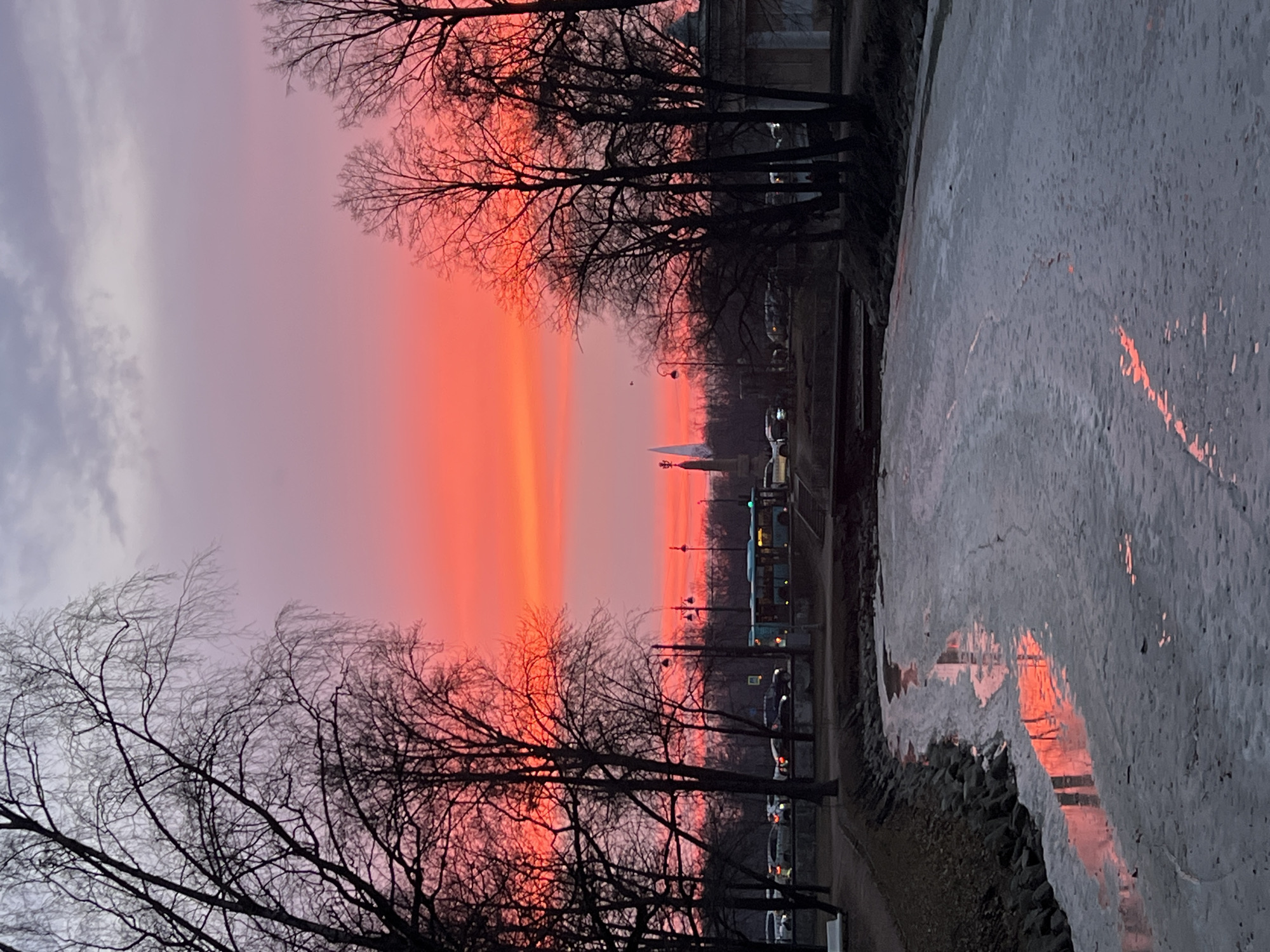The image depicts a winter or early spring urban scene in Saint Petersburg, Russia, at either sunrise or sunset, characterized by a striking red-orange sky. The view looks generally towards the Admiralty Building, whose distinctive white spire is visible in the distant center.
In the foreground, a canal is largely covered with a broken sheet of ice, with darker, reflective patches of water mirroring the vivid red and orange hues of the sky. The banks of the canal are lined with stony edges on the left, transitioning to bare earth and paths.
The midground is framed by numerous bare deciduous trees with intricate branch networks, silhouetted against the bright sky. Behind these trees, a city road is visible, populated by several vehicles, including multiple cars with active headlights or taillights and a light blue public transit bus on the right side of the road. Streetlights are illuminated along the thoroughfare. On the far right, a white arched structure or pavilion is partially discernible behind a cluster of trees.
The sky above the horizon transitions from an intense red-orange band to pink, then to a pale purple and ultimately grey at the top, with minimal, wispy cloud cover. No individuals are distinctly visible within the scene.