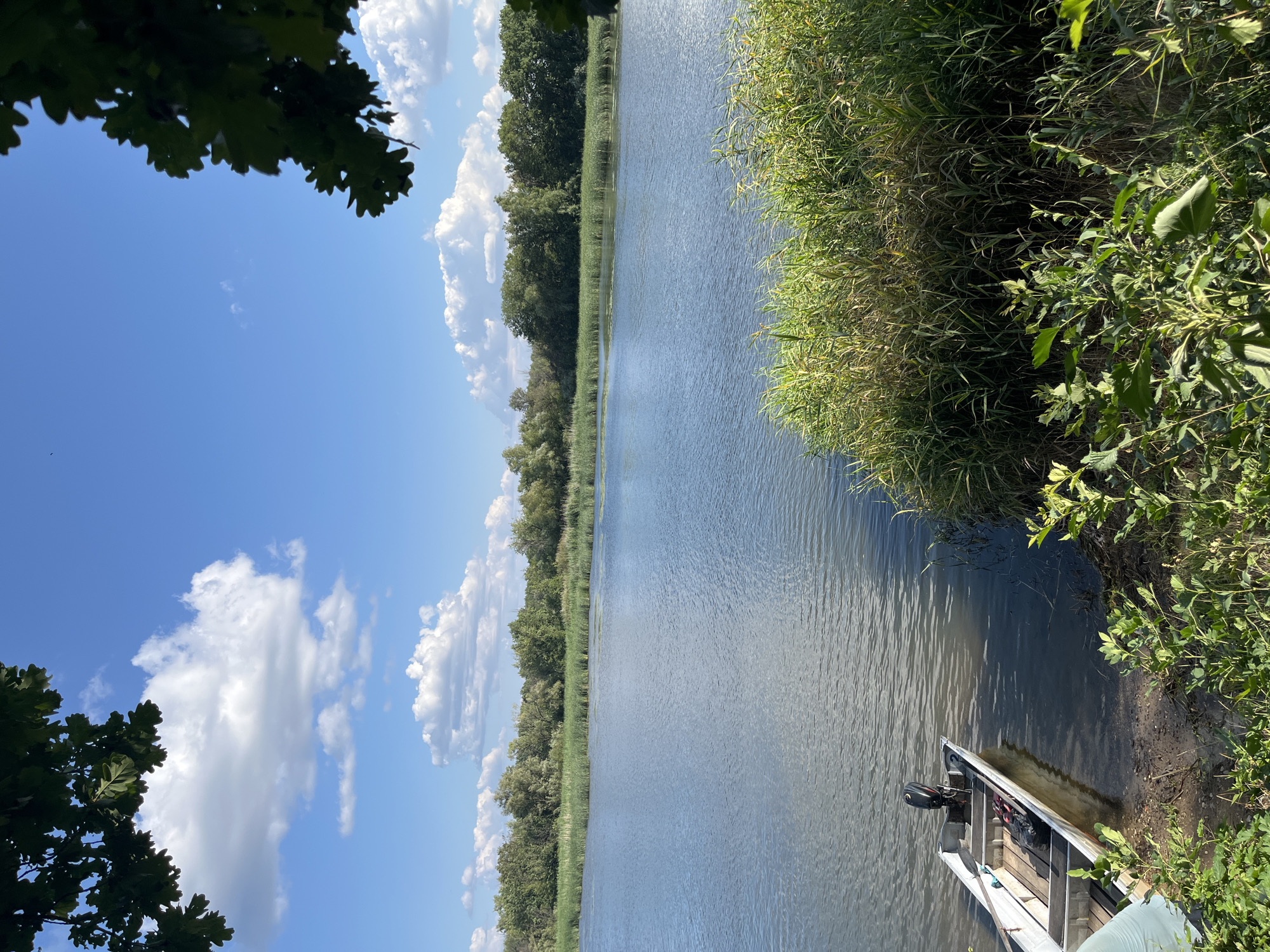 An eye-level medium shot captures a serene waterscape on a clear, sunny day. The foreground is dominated by a small, aluminum fishing boat with an outboard motor docked near a sandy, vegetated shore. Lush green reeds and plants line the edge of the calm, blue water, which reflects the bright sky above. In the mid-ground, the water stretches across the frame, with a dense line of trees forming the distant horizon. The sky is a vibrant blue, dotted with fluffy white cumulus clouds. The scene evokes a sense of tranquility and nature's beauty.